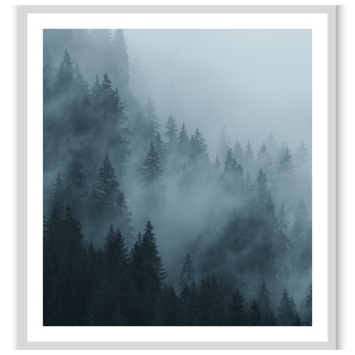Morning's Echo