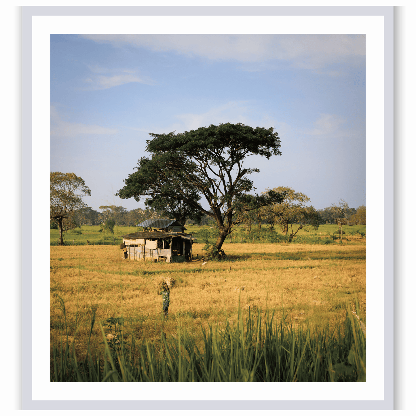 African Tapestry