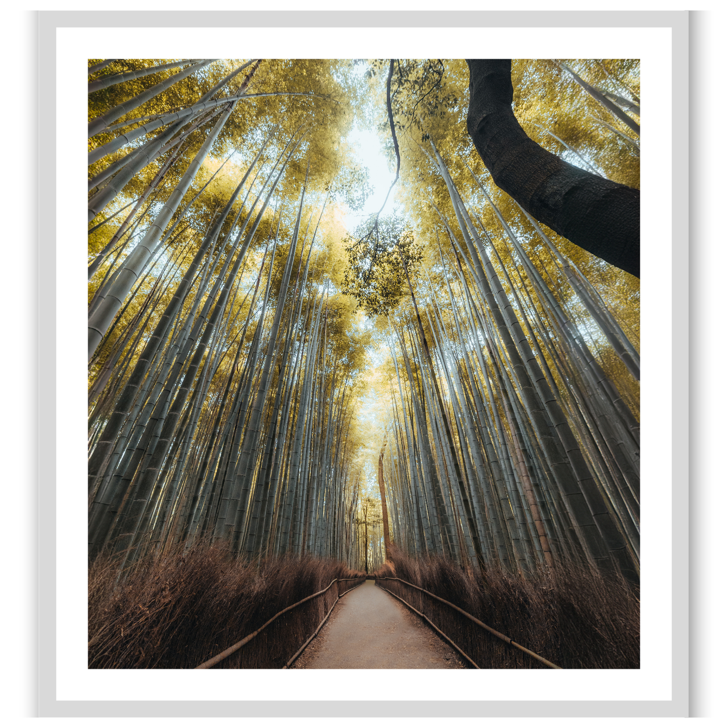 Kyoto whispers