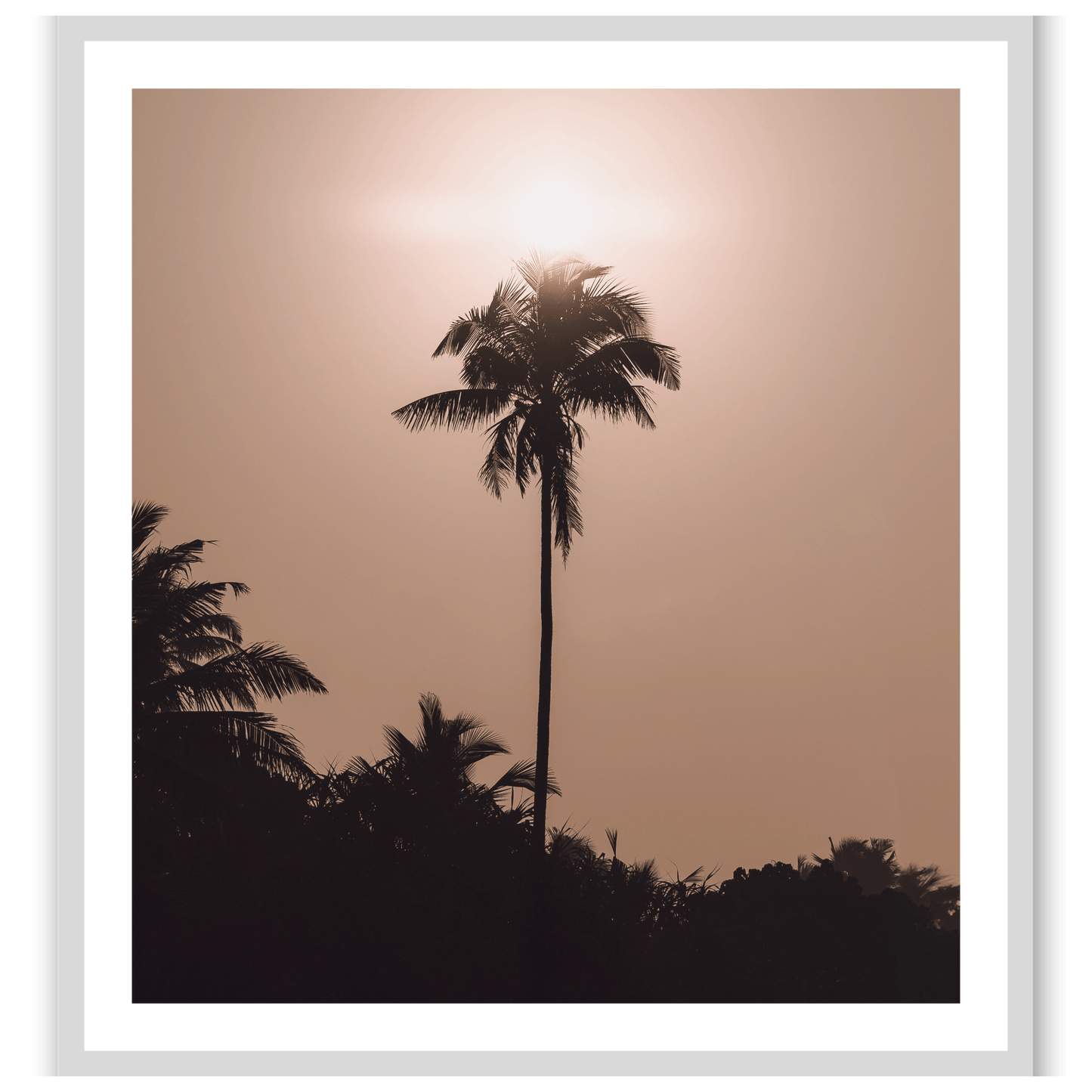Palms of Mirissa