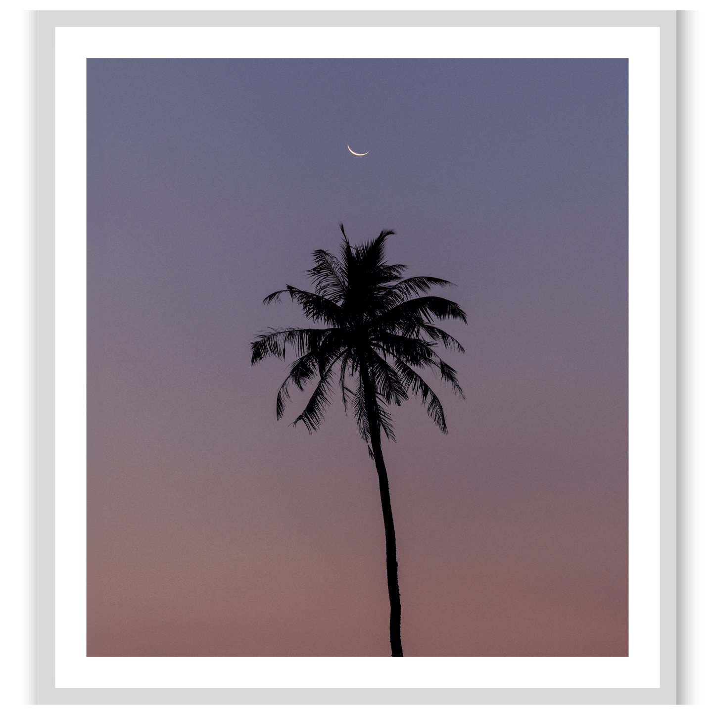 Under a watchful moon