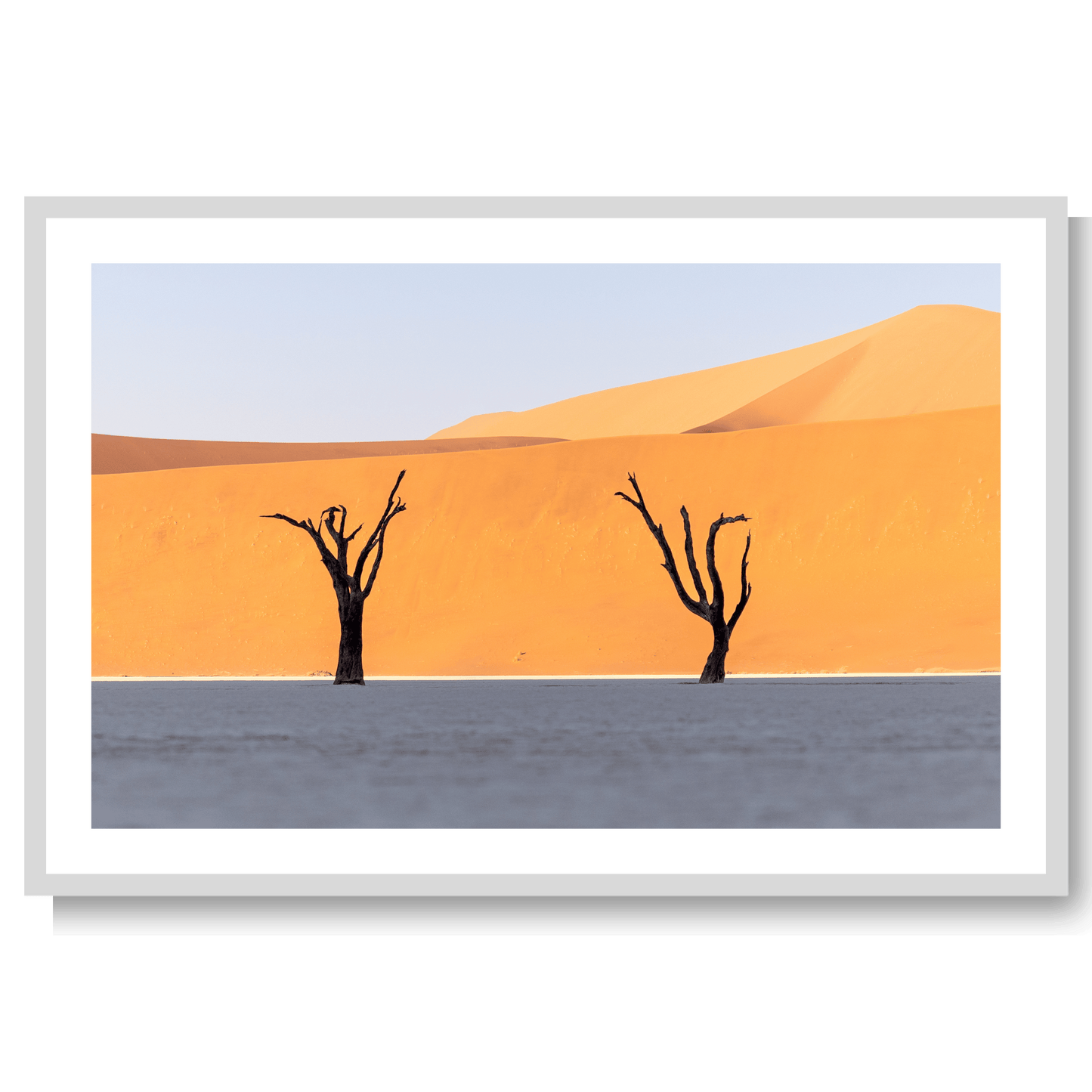 Sossusvlei Forest