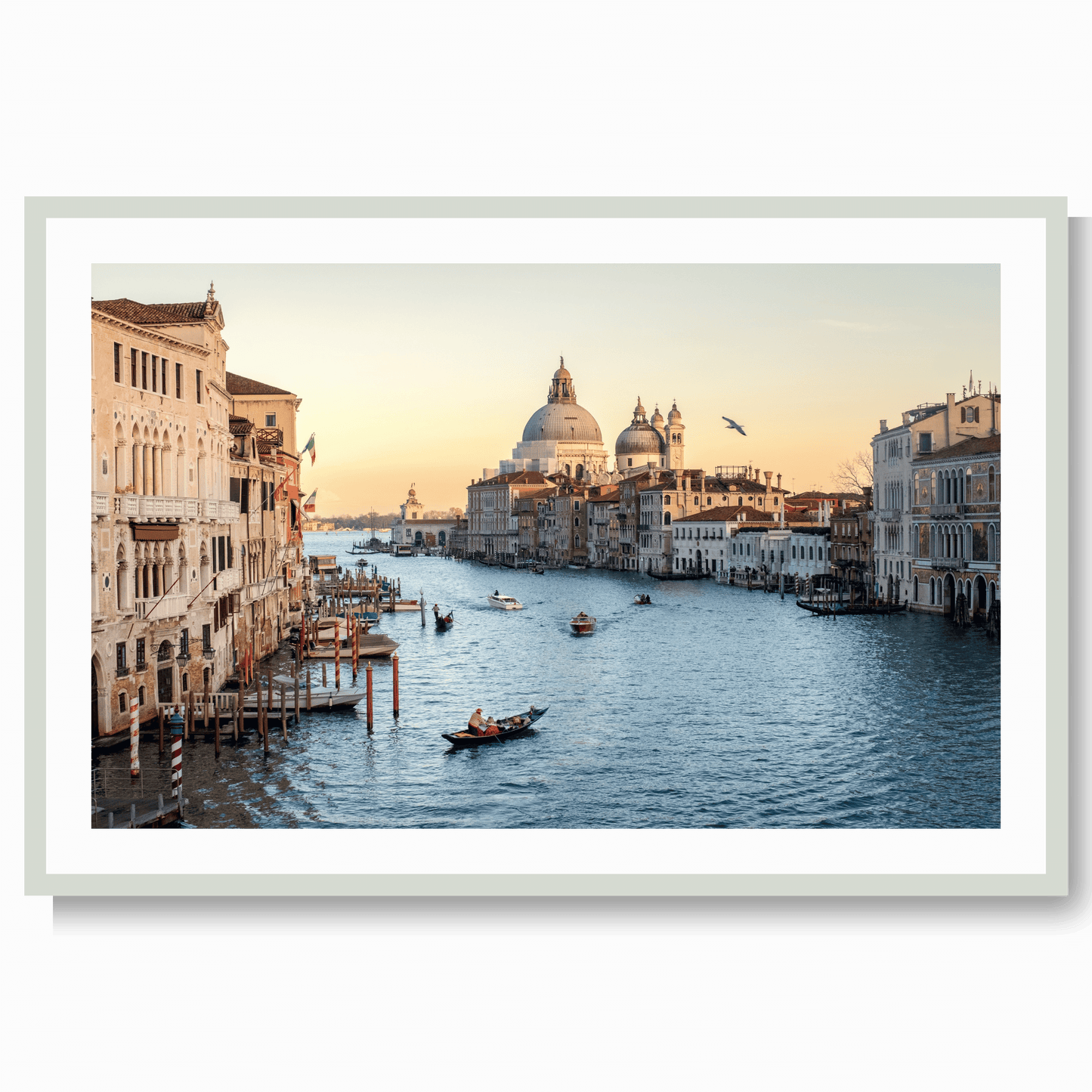 Venice Dreams