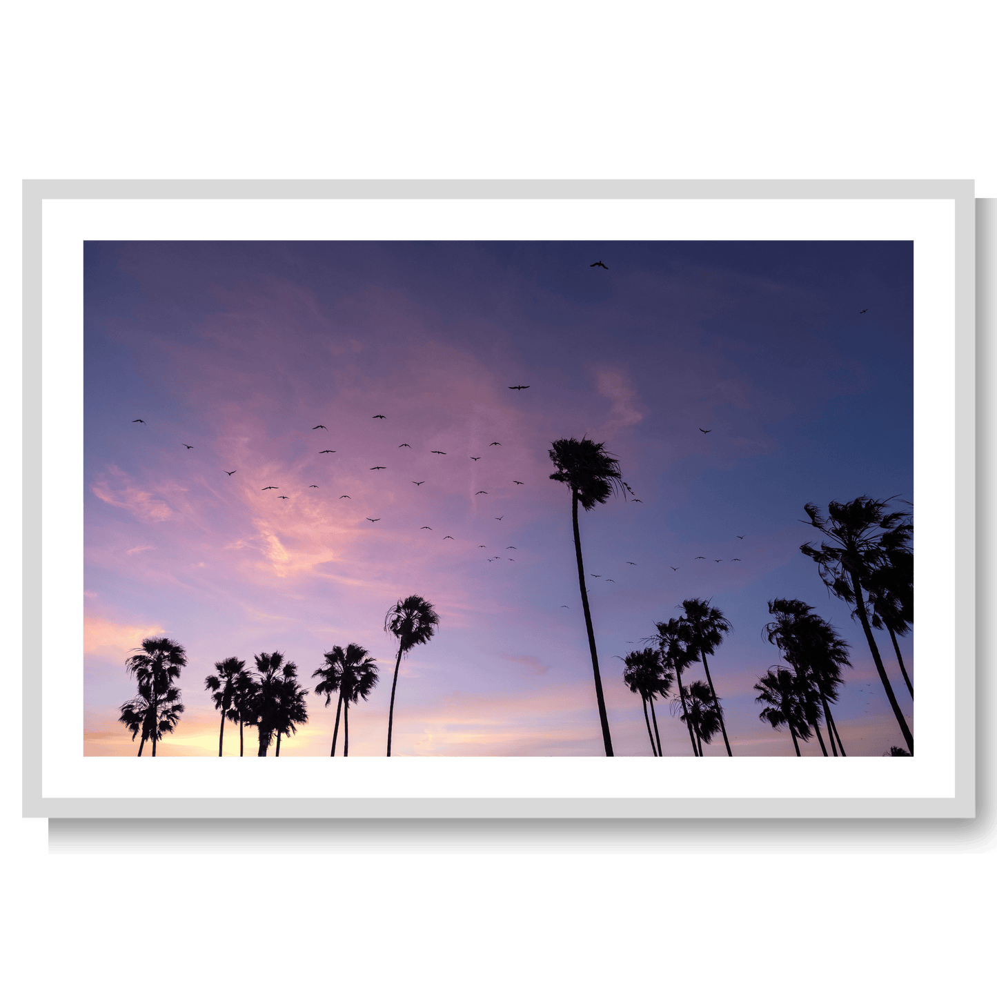 California dreamin’