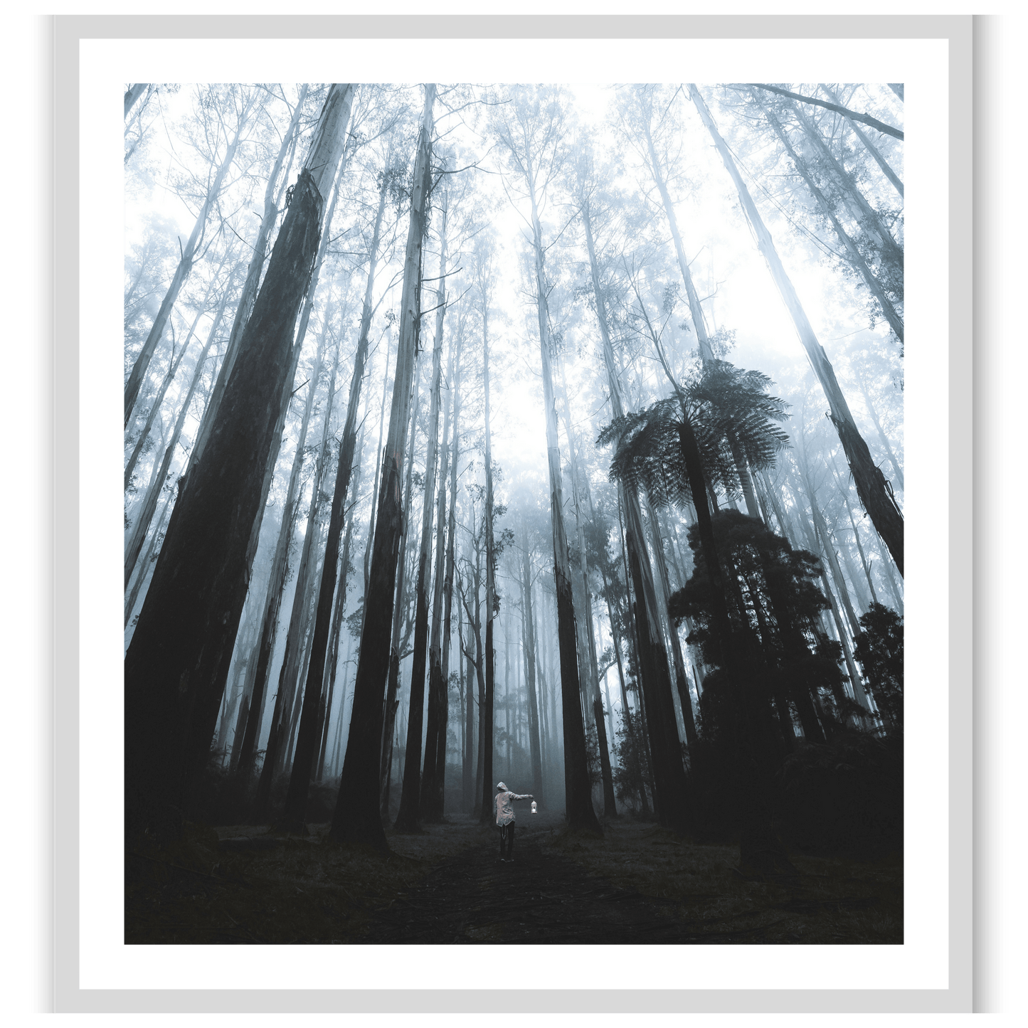 Forest Guardian