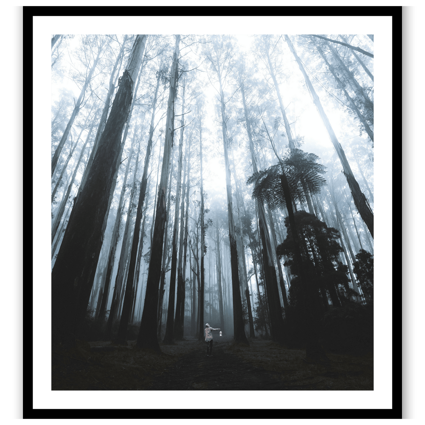 Forest Guardian