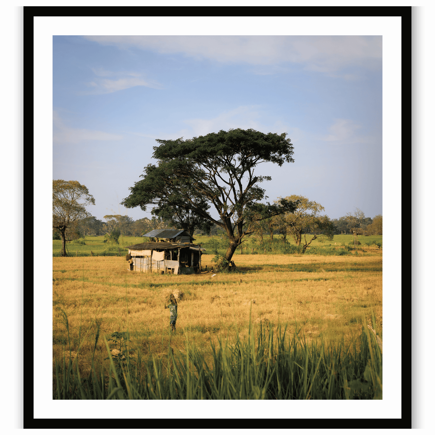 African Tapestry