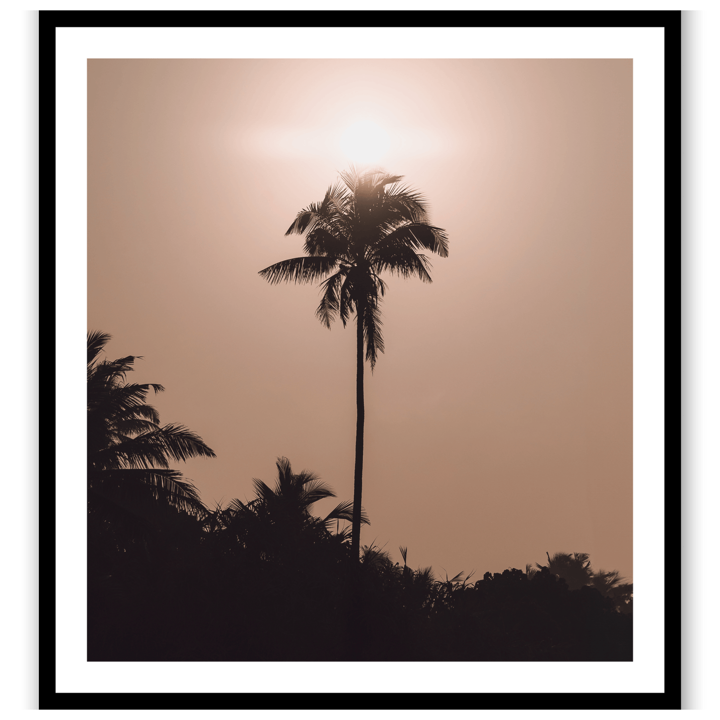 Palms of Mirissa