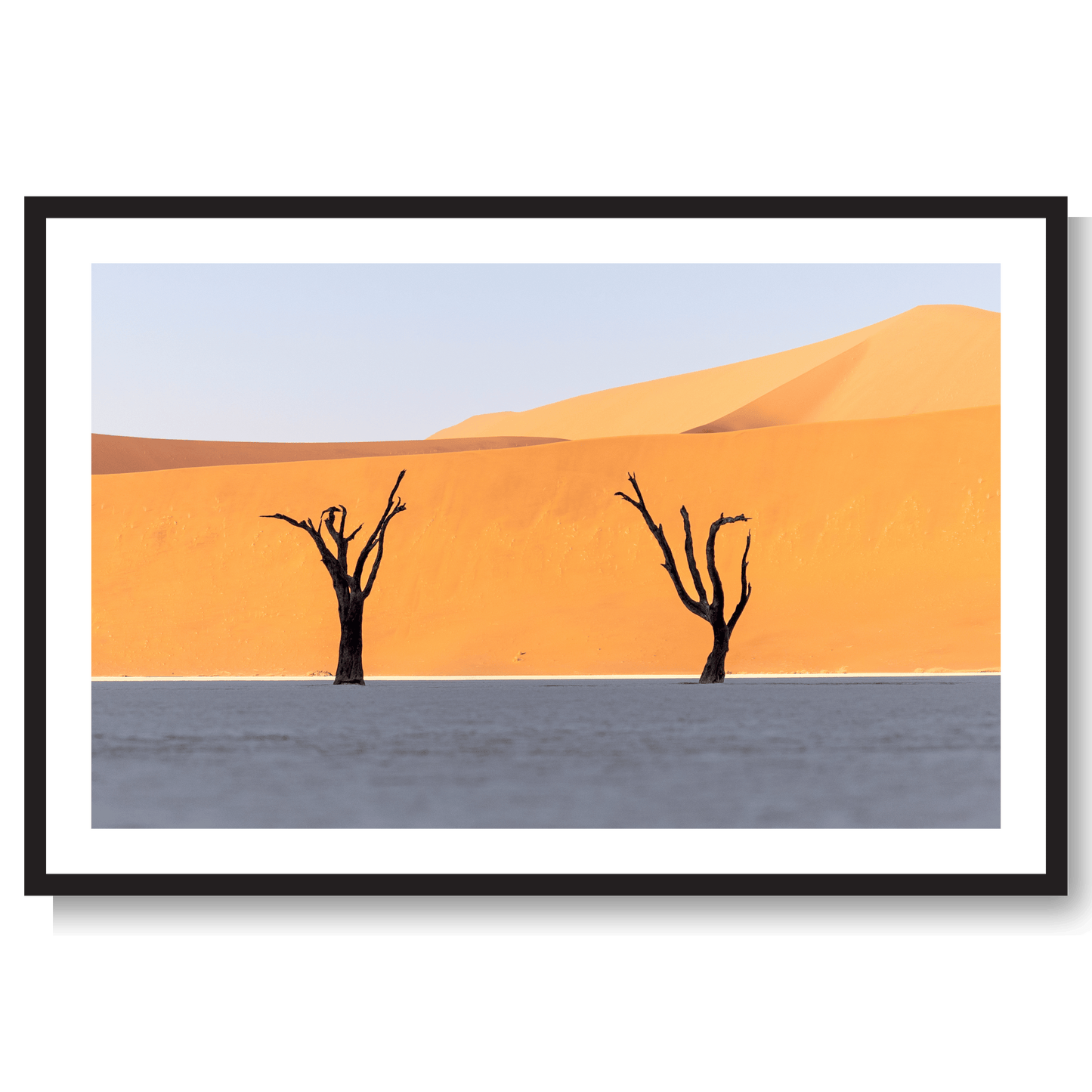 Sossusvlei Forest