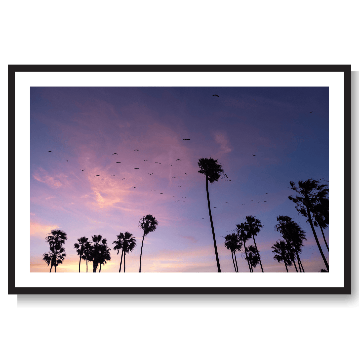 California dreamin’