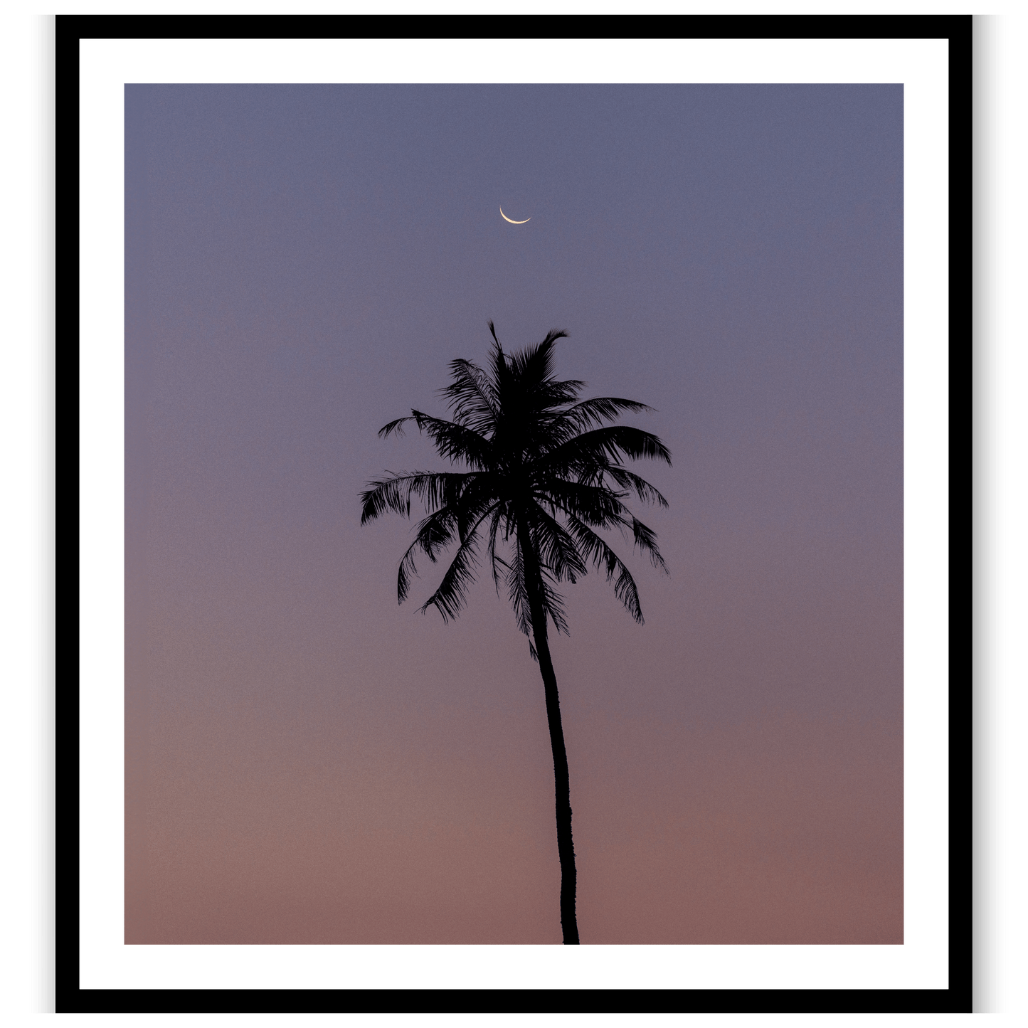 Under a watchful moon