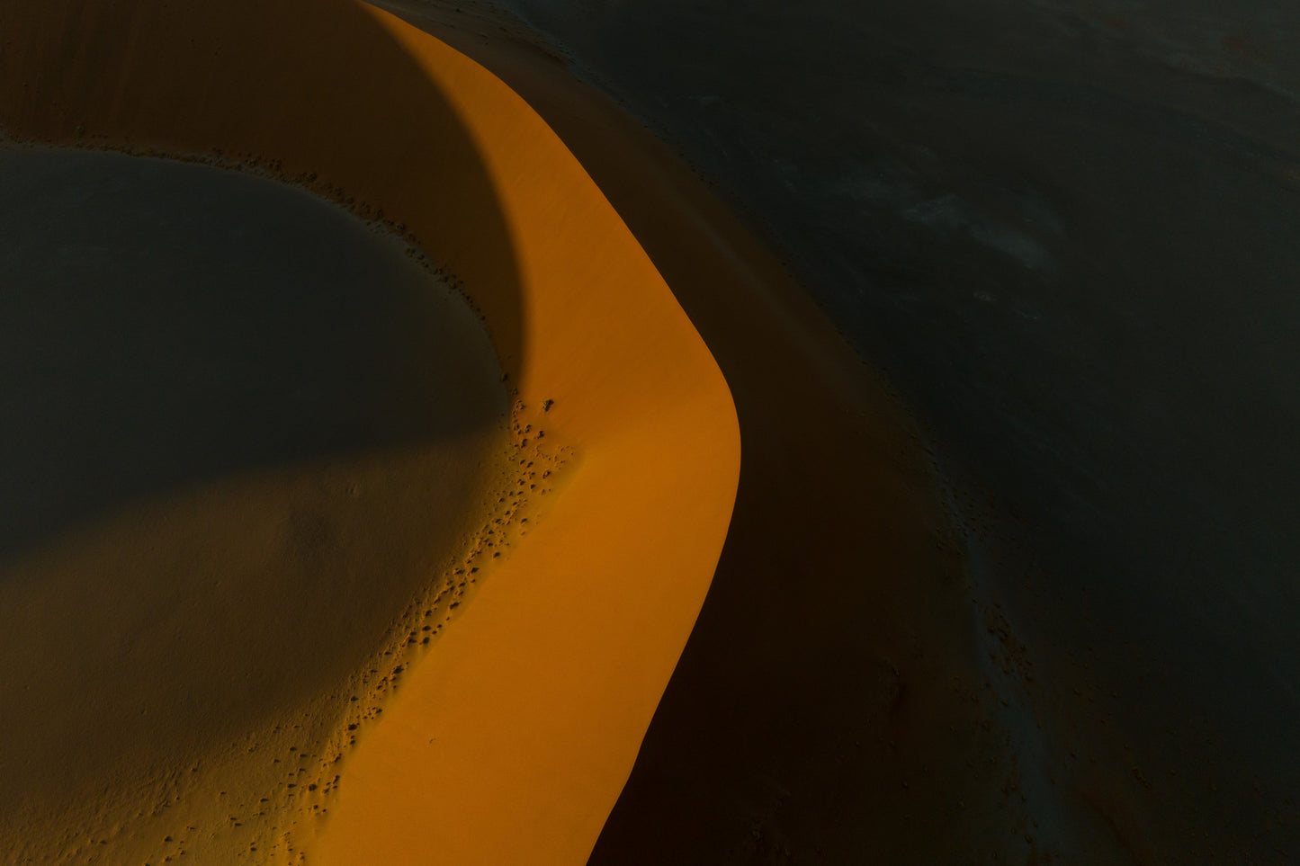 Sossusvlei shadow dance