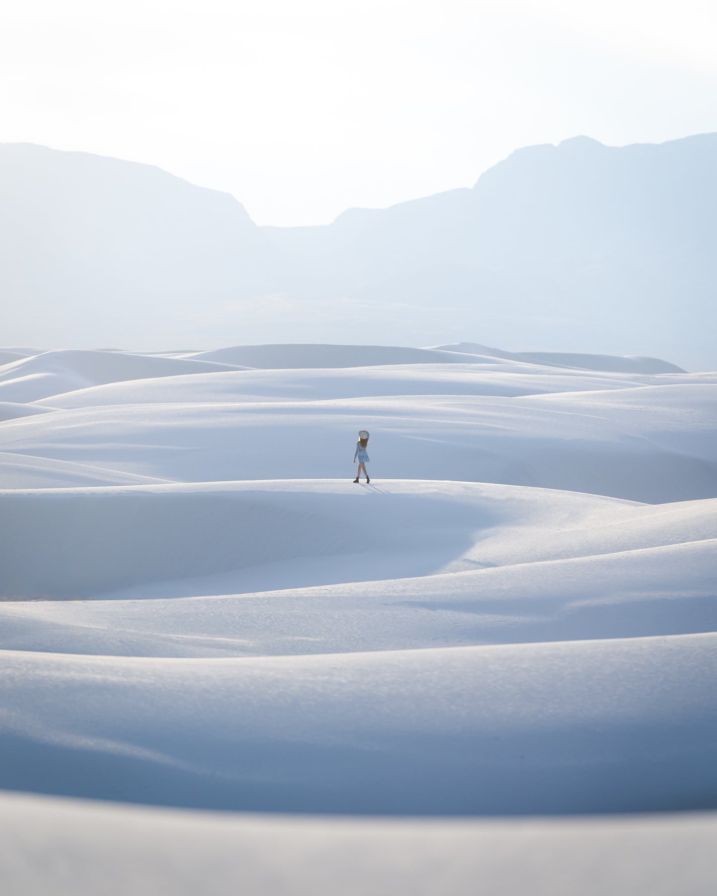 Snow Dune Walker