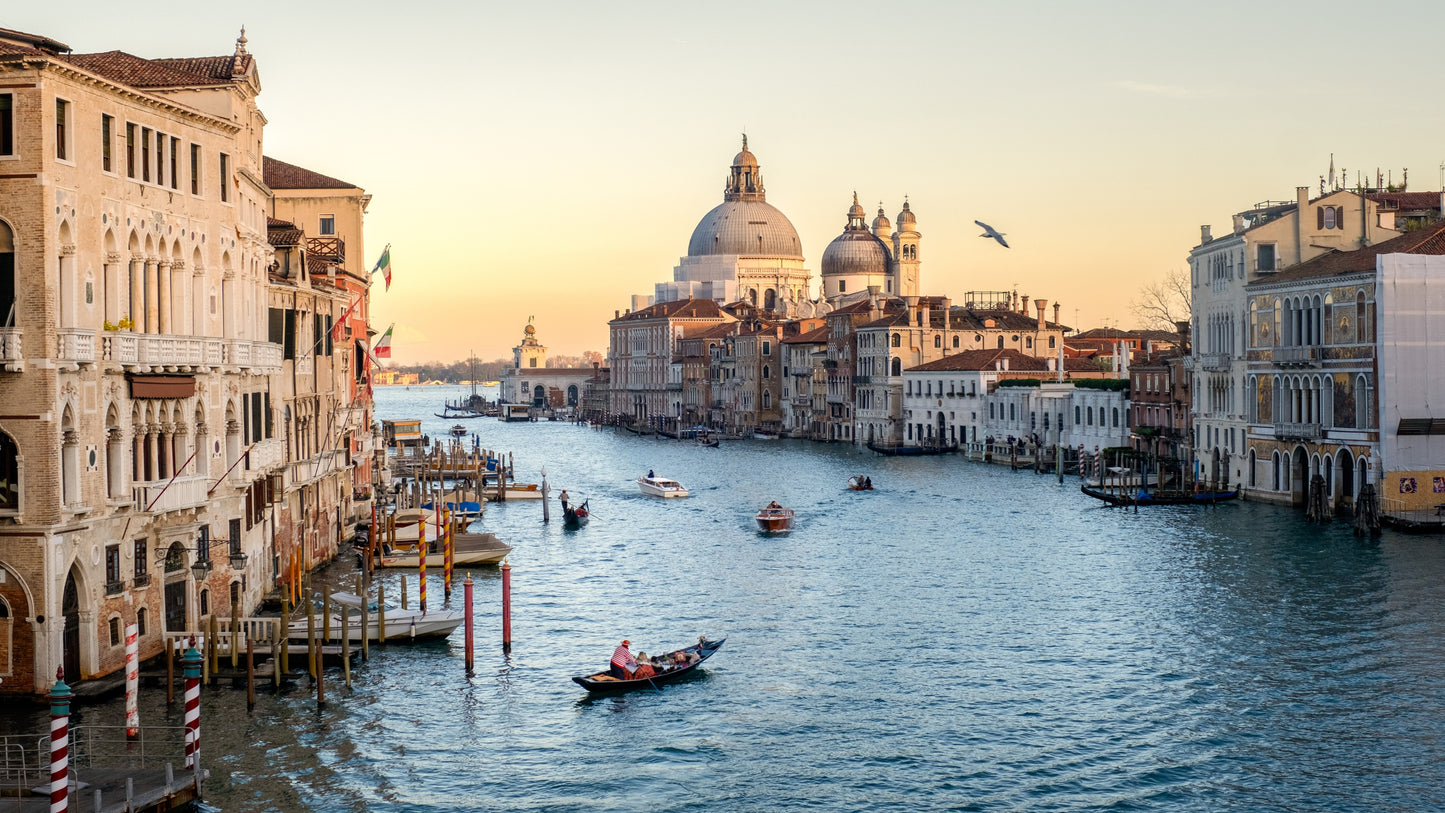 Venice Dreams