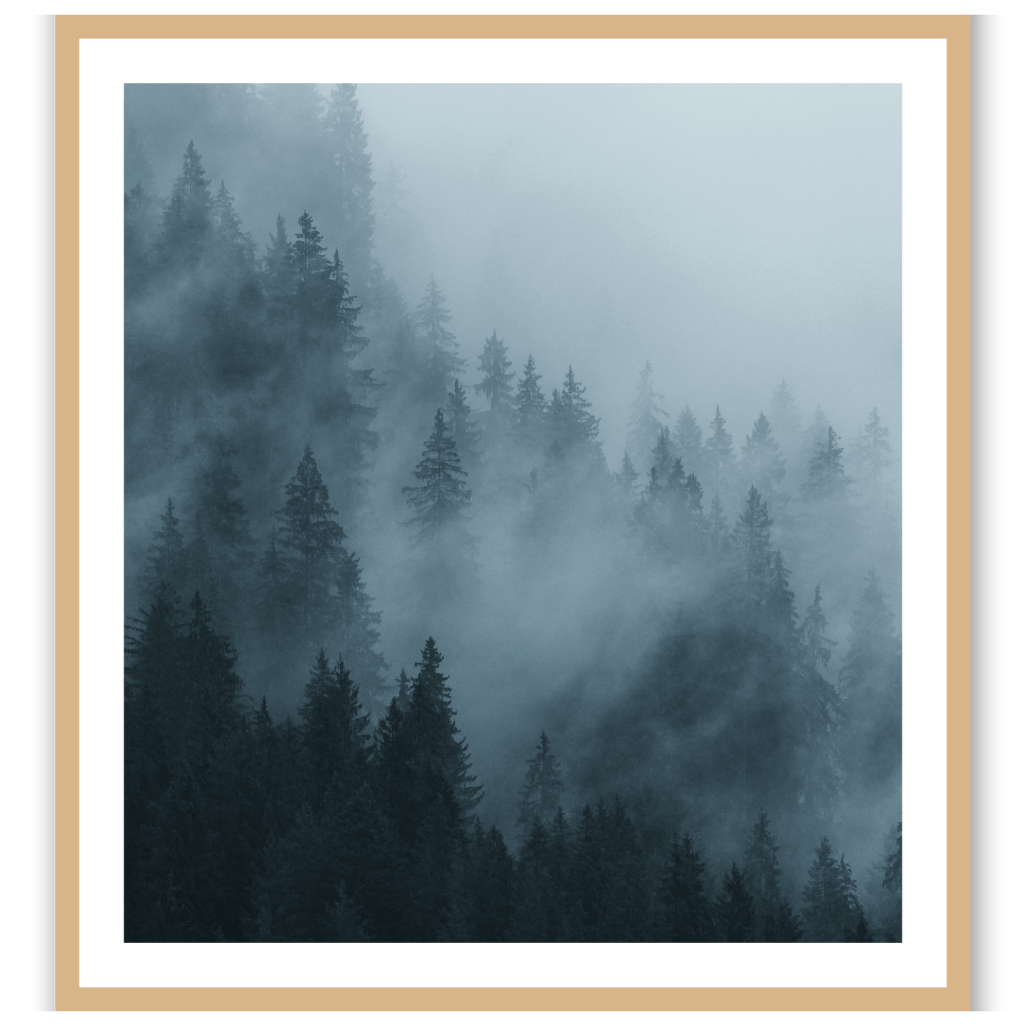 Morning's Echo