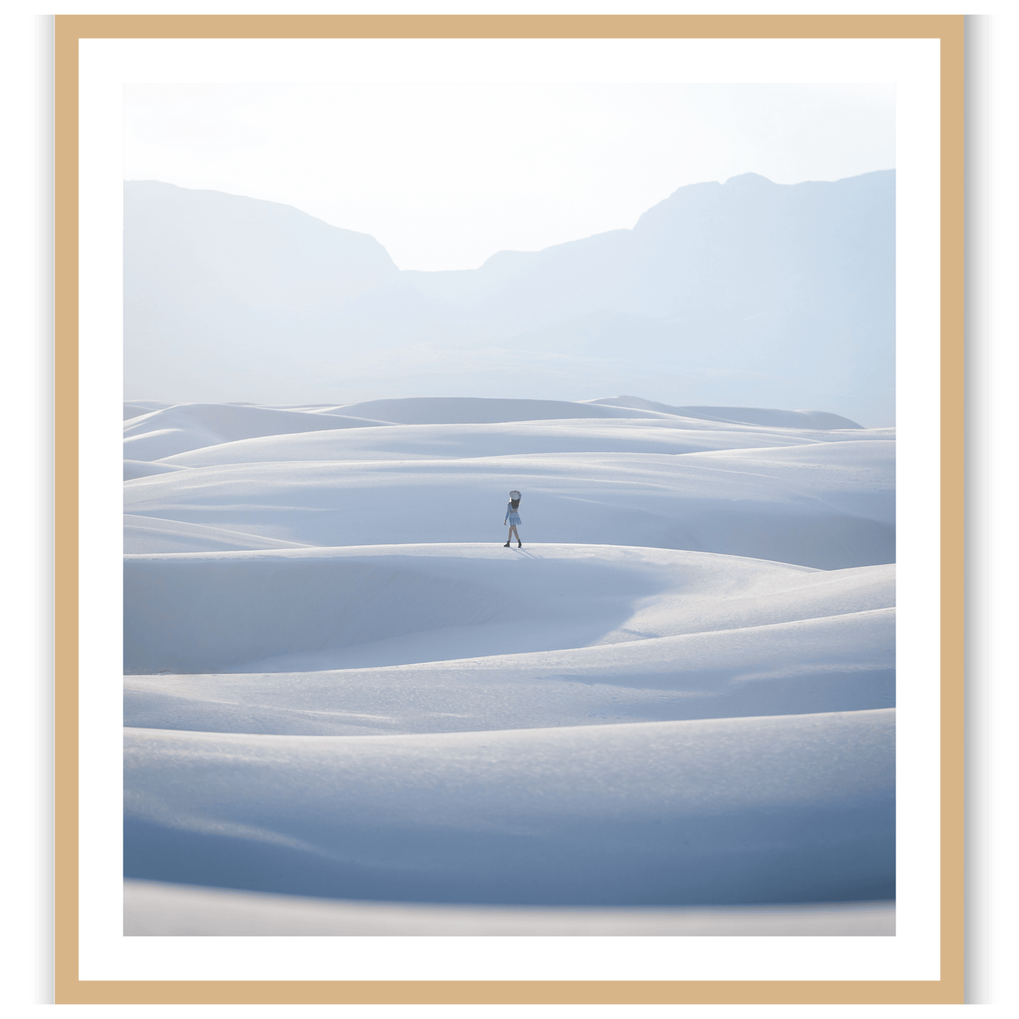 Snow Dune Walker
