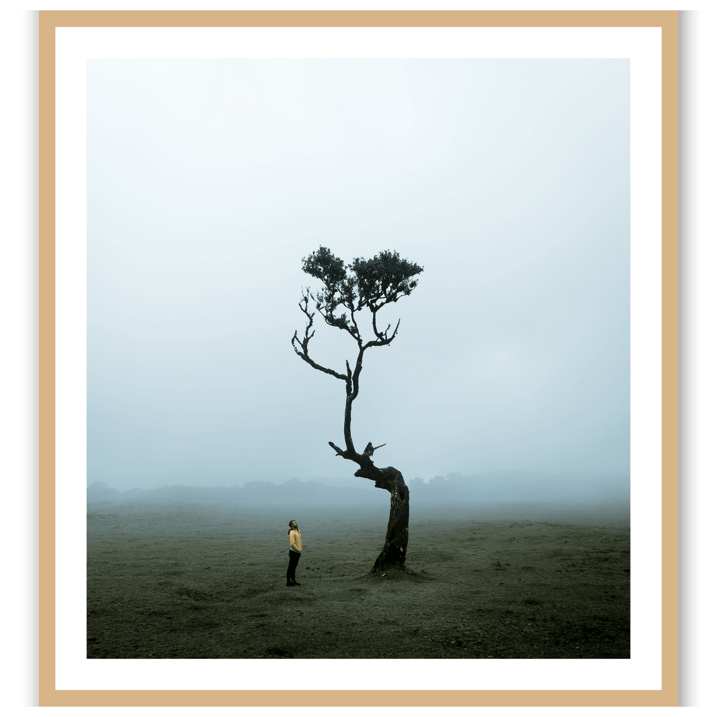 The Lonely Tree