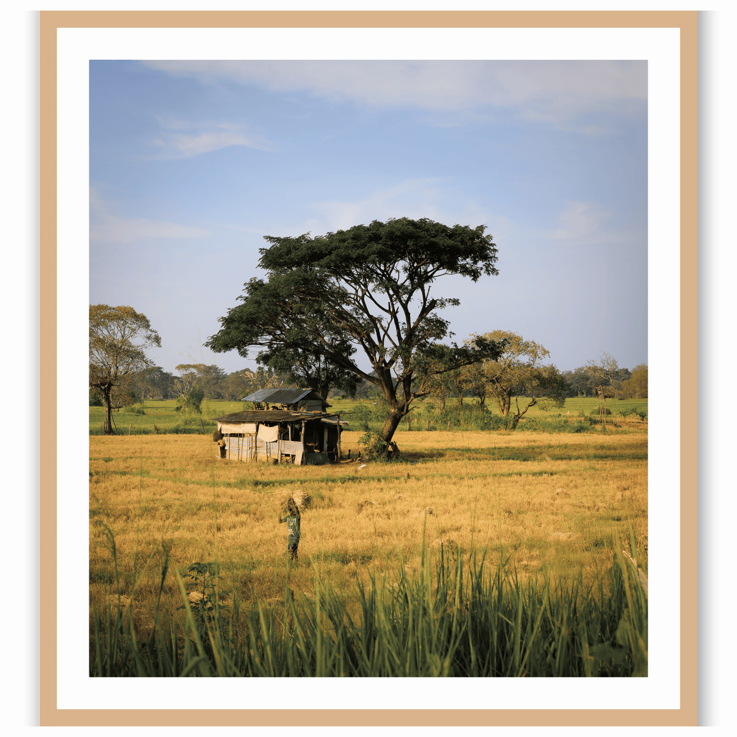 African Tapestry