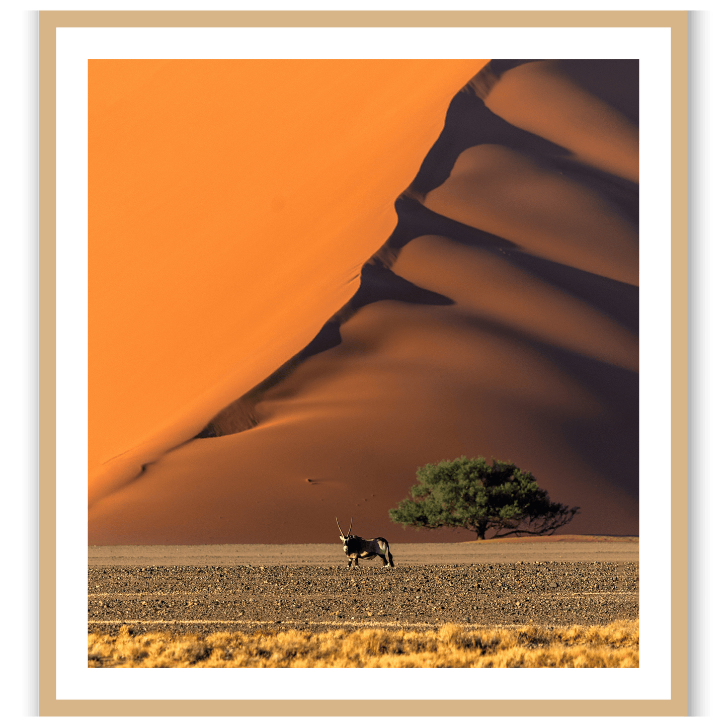 The Loneliest Oryx in the World