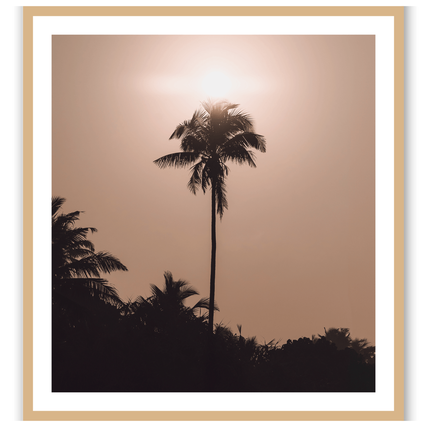 Palms of Mirissa