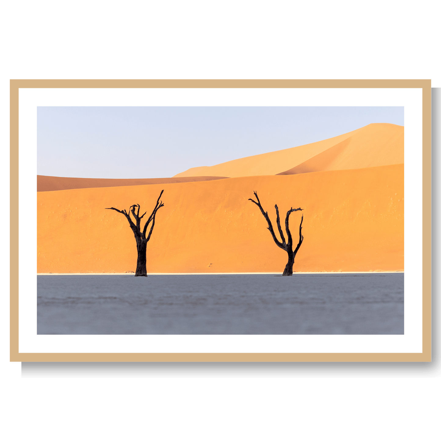 Sossusvlei Forest