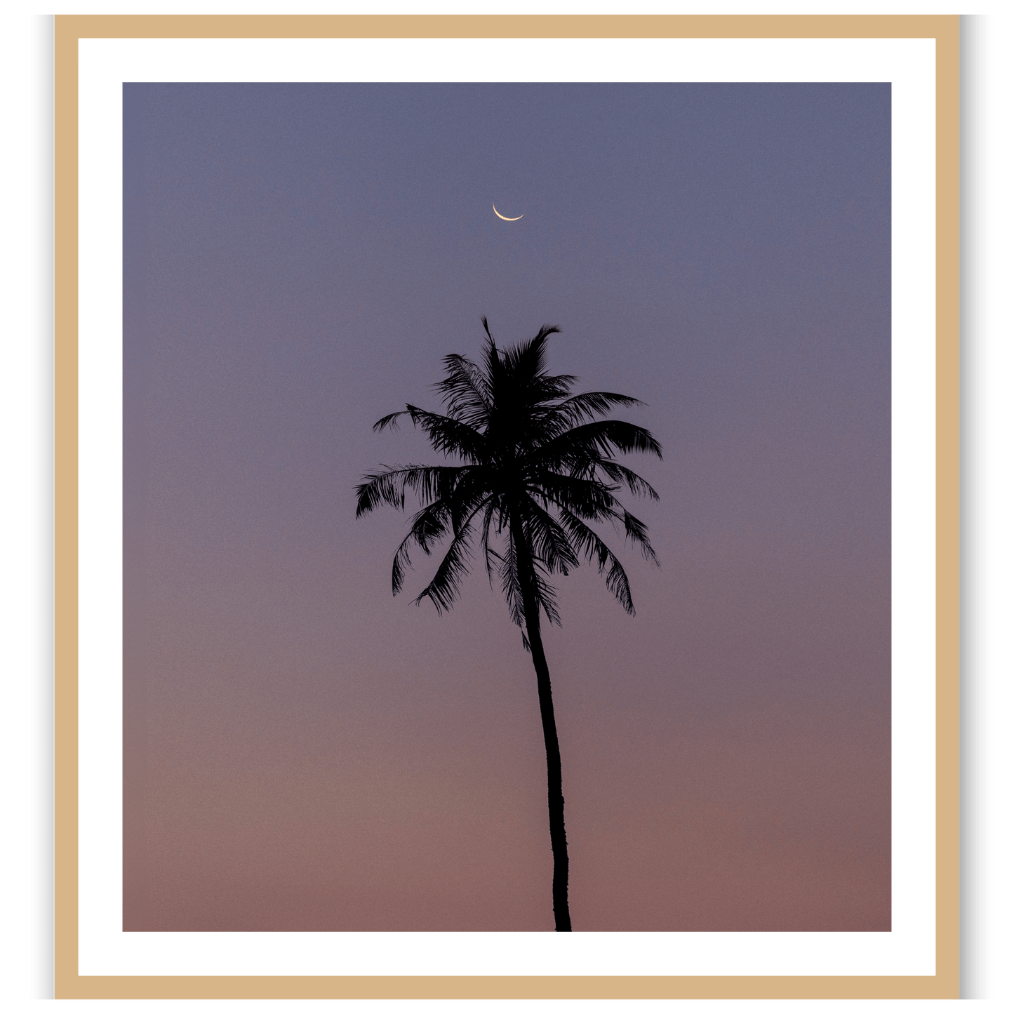 Under a watchful moon