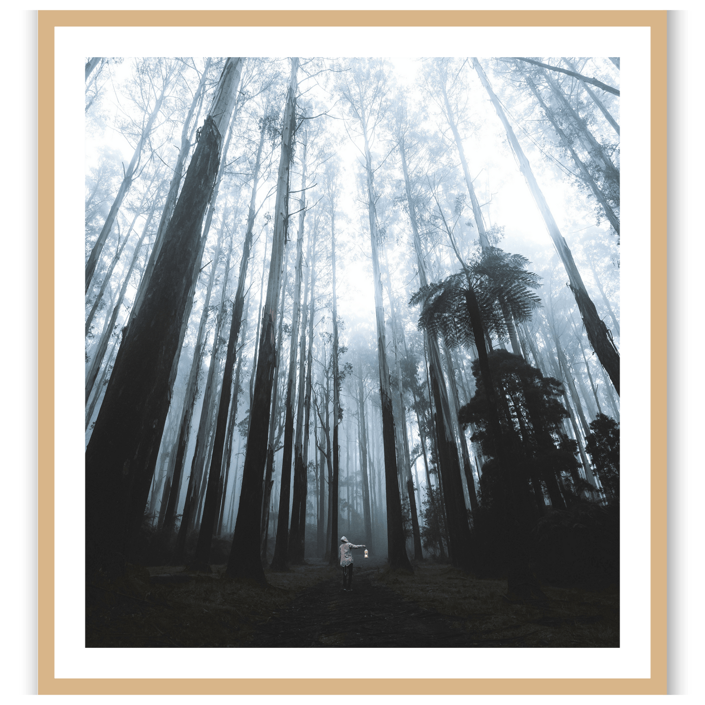 Forest Guardian