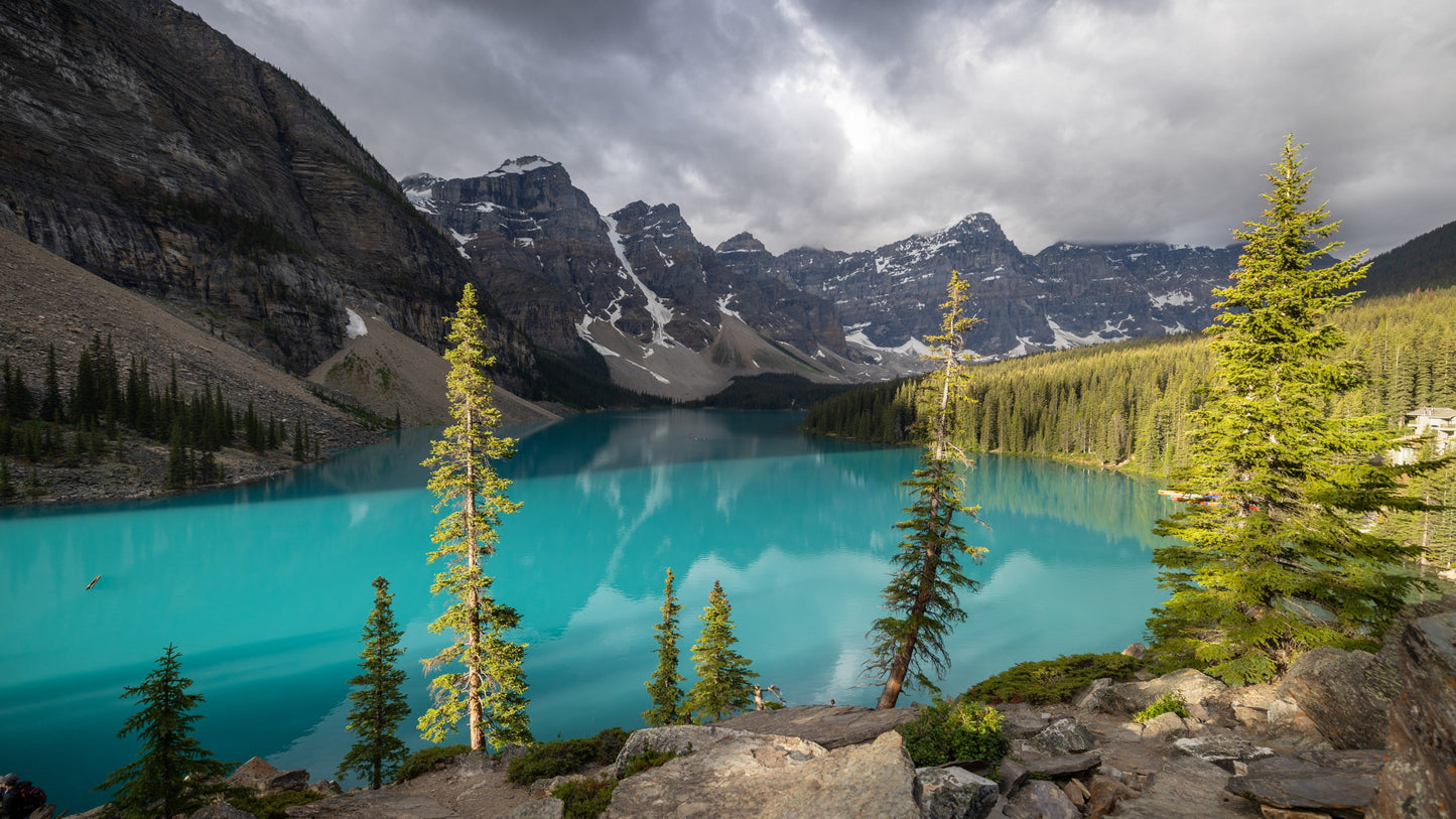 Canada blues LS