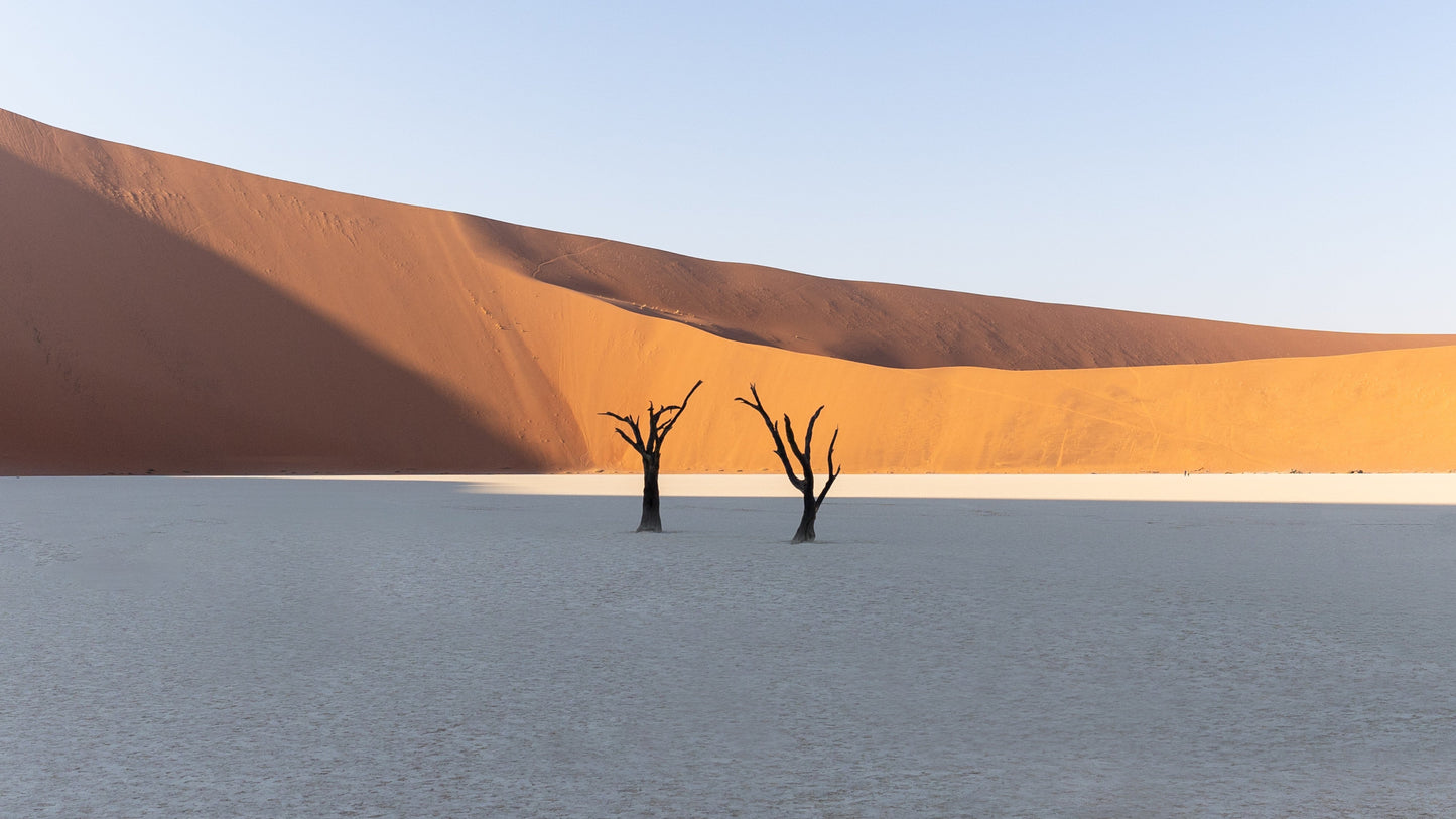 Scorched earth