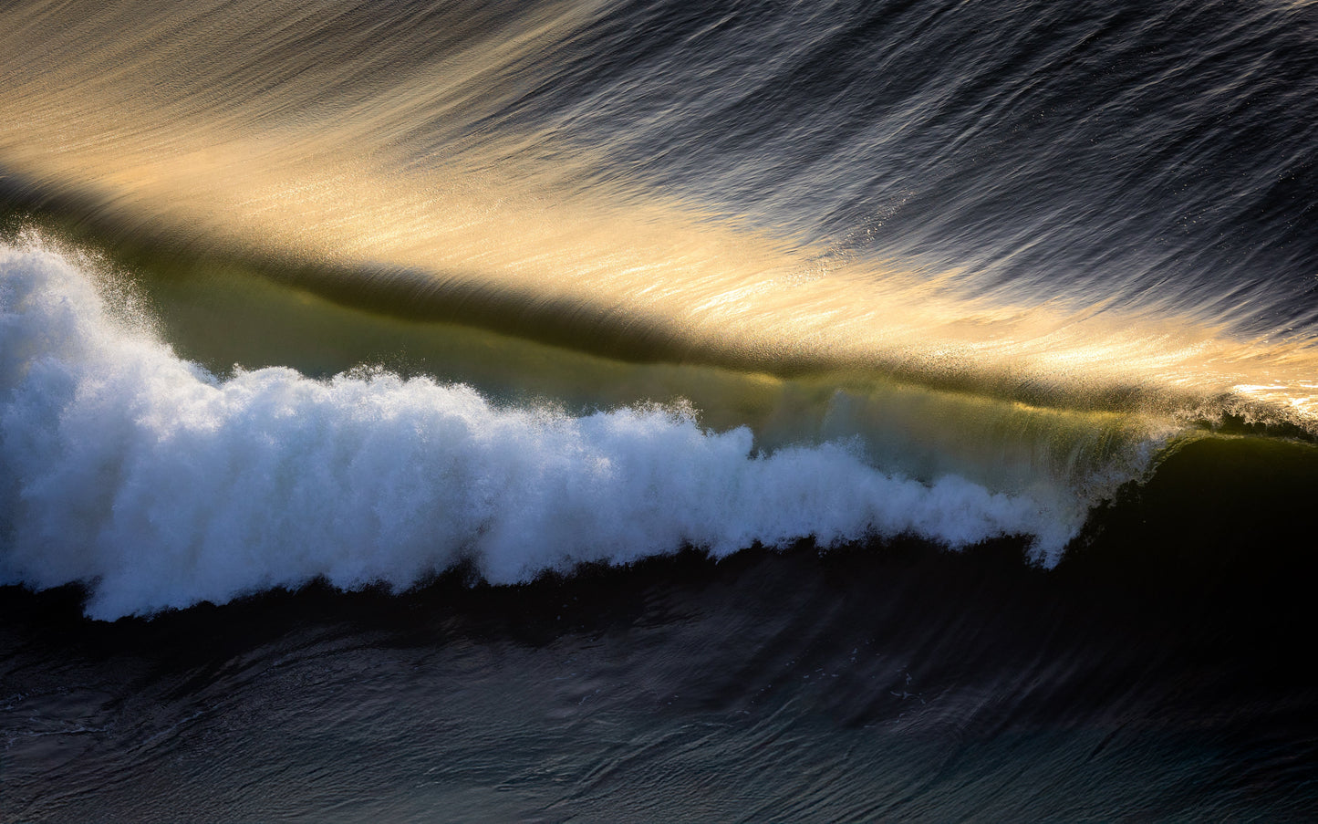 Golden Undertow