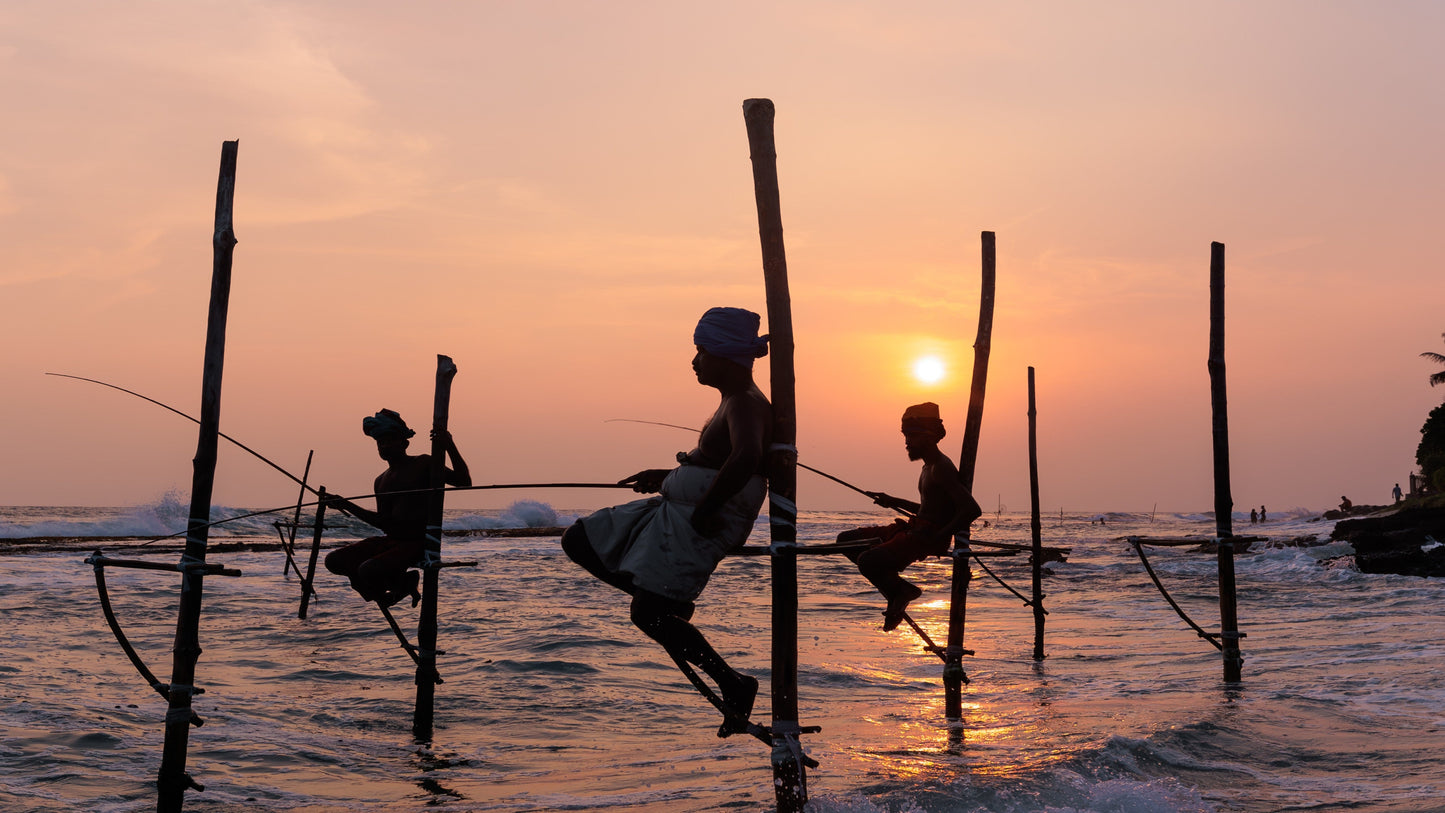 Sri Lankan sundown