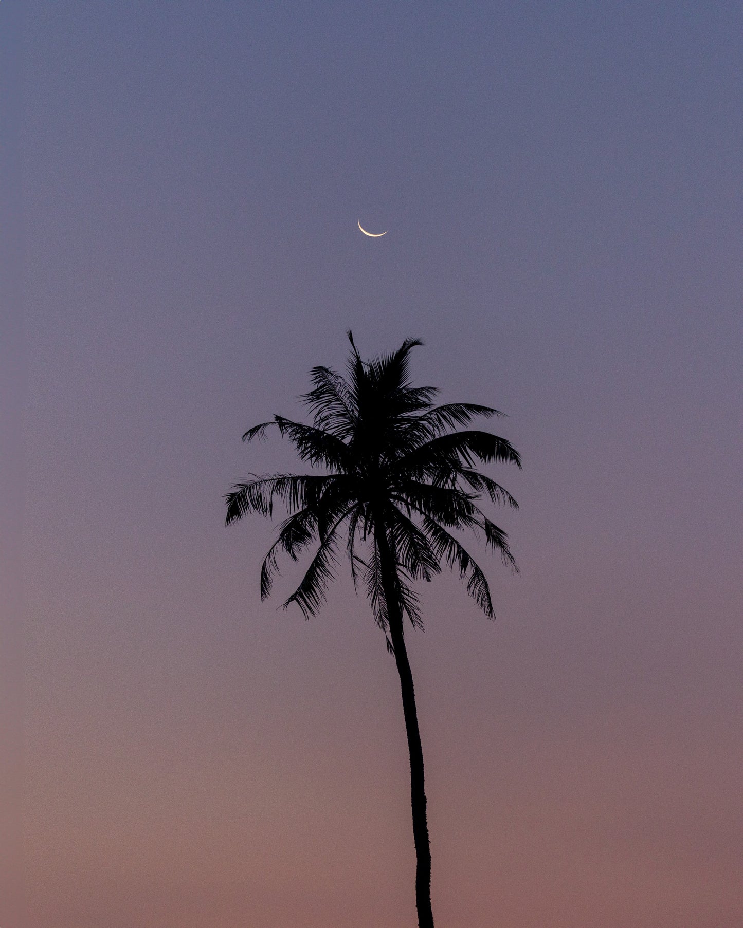 Under a watchful moon