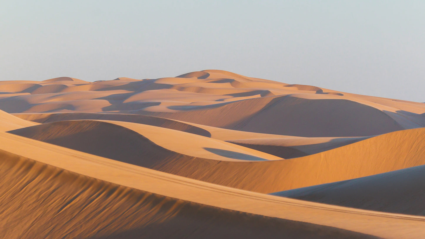 Sand & Shadow