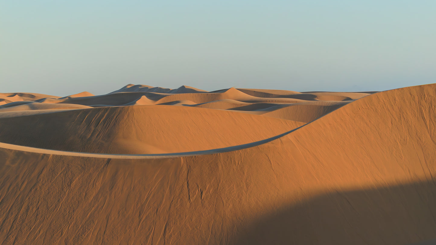 Desert Symphony