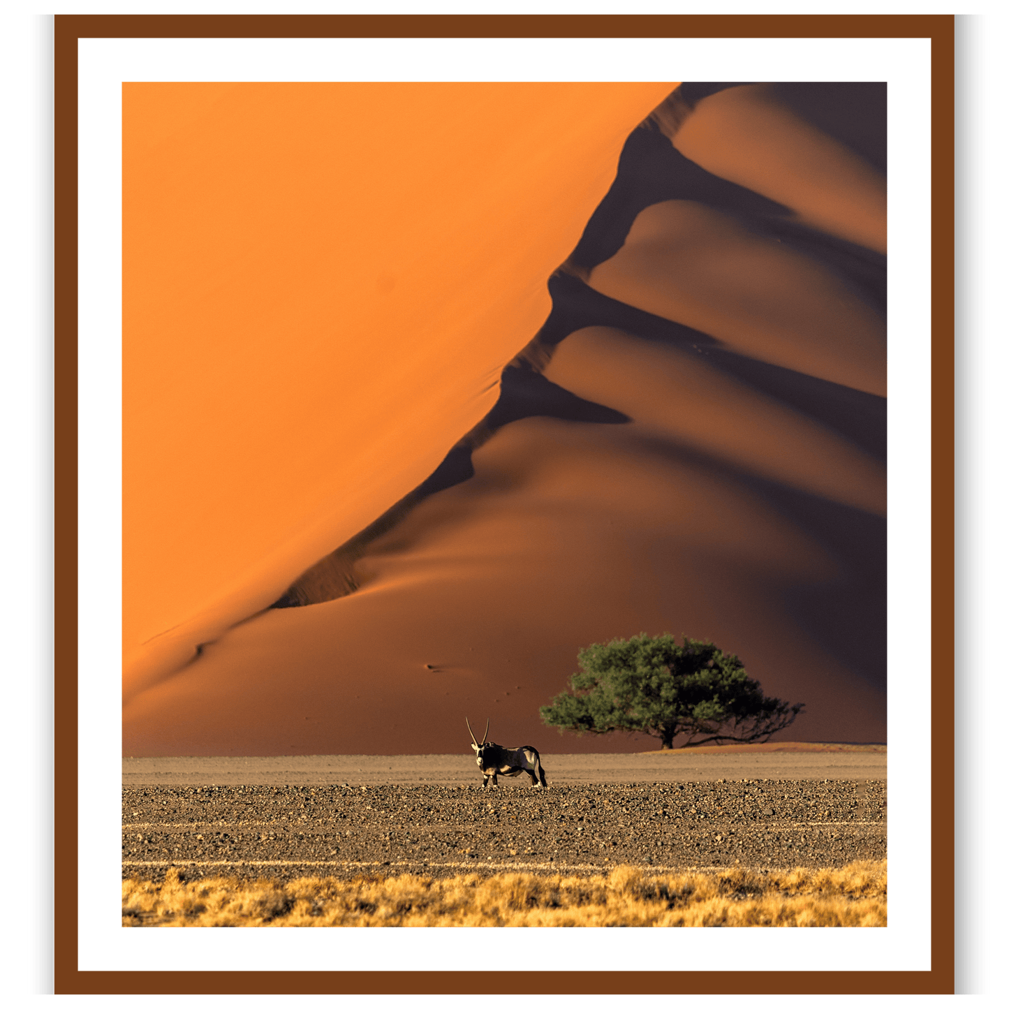 The Loneliest Oryx in the World