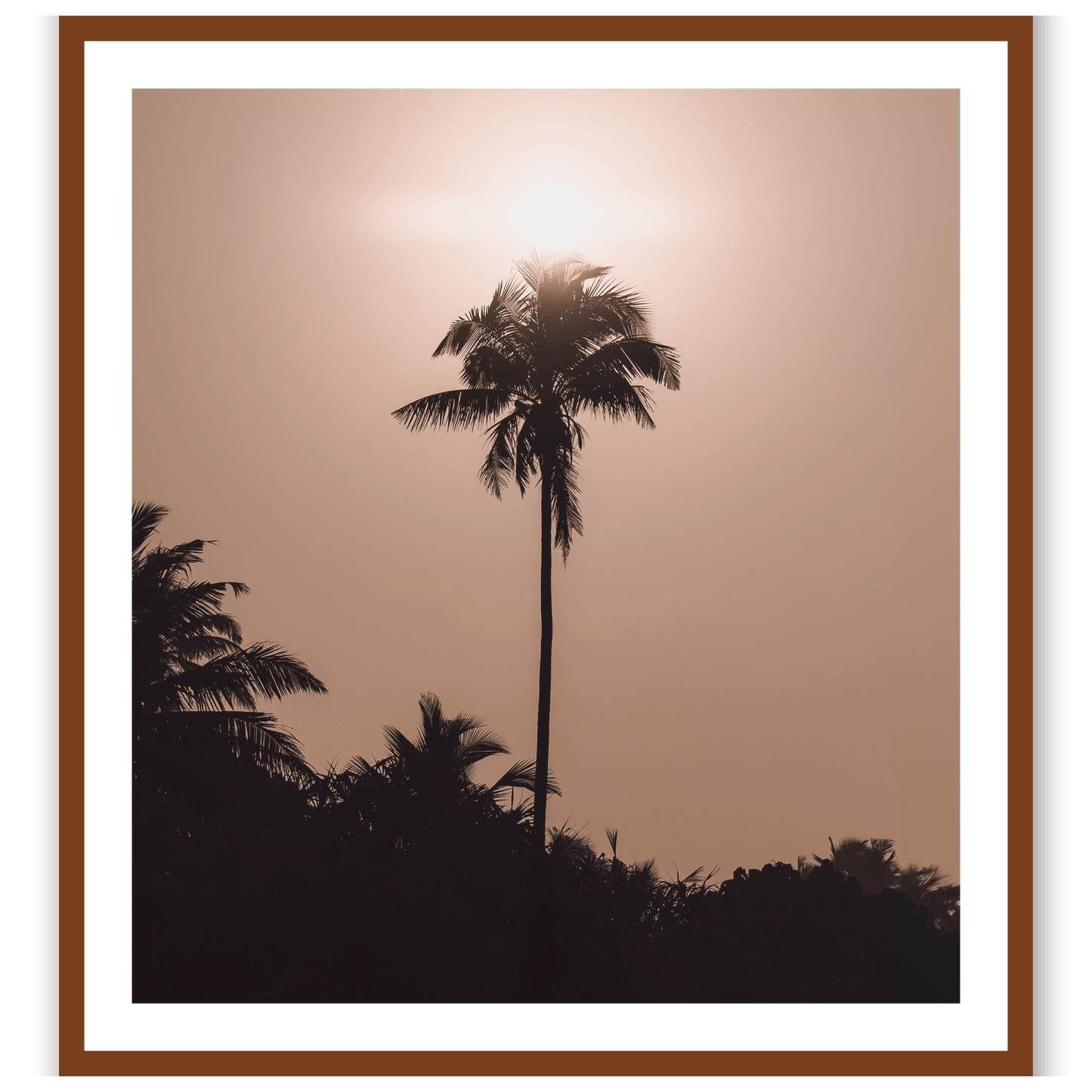 Palms of Mirissa