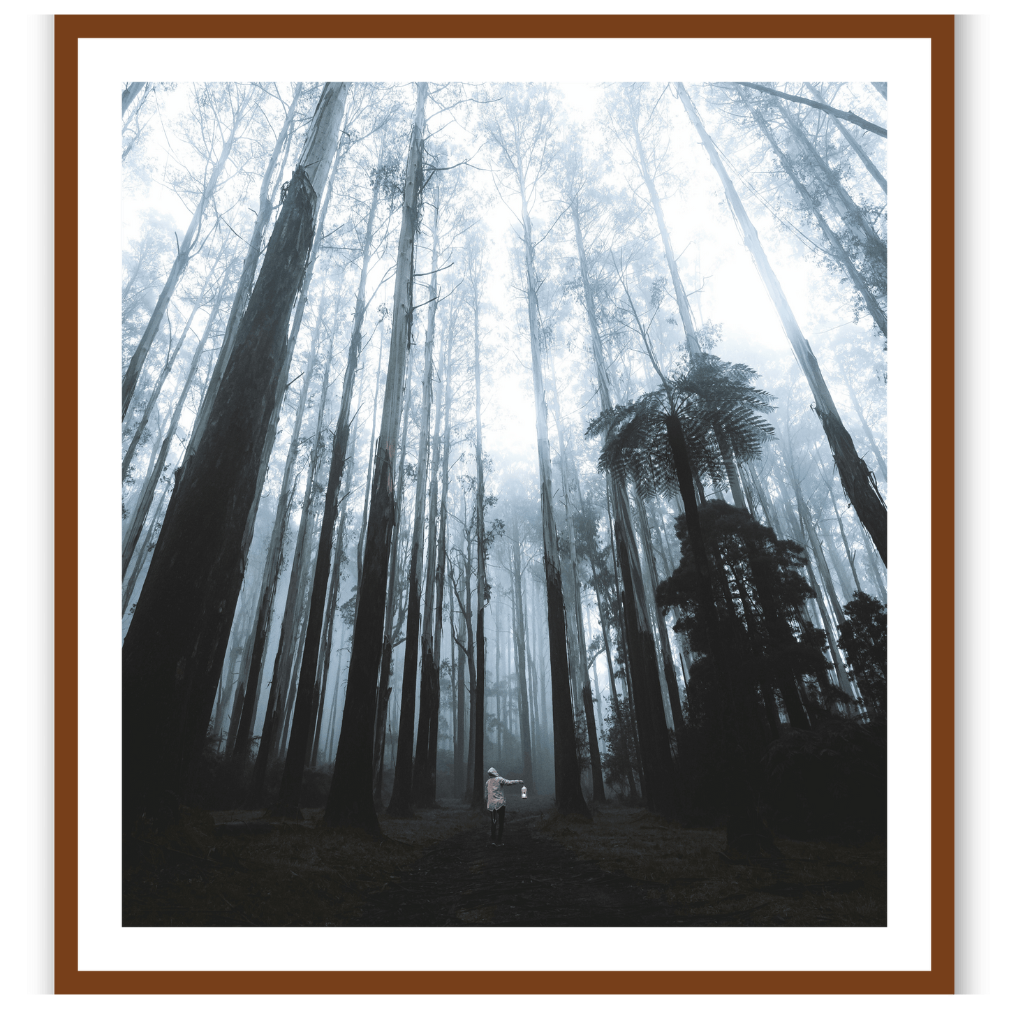 Forest Guardian
