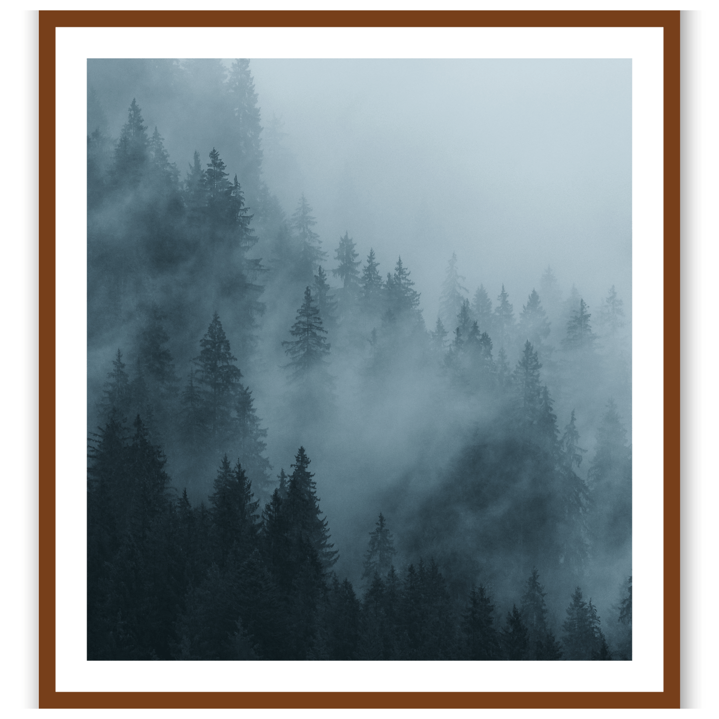 Morning's Echo