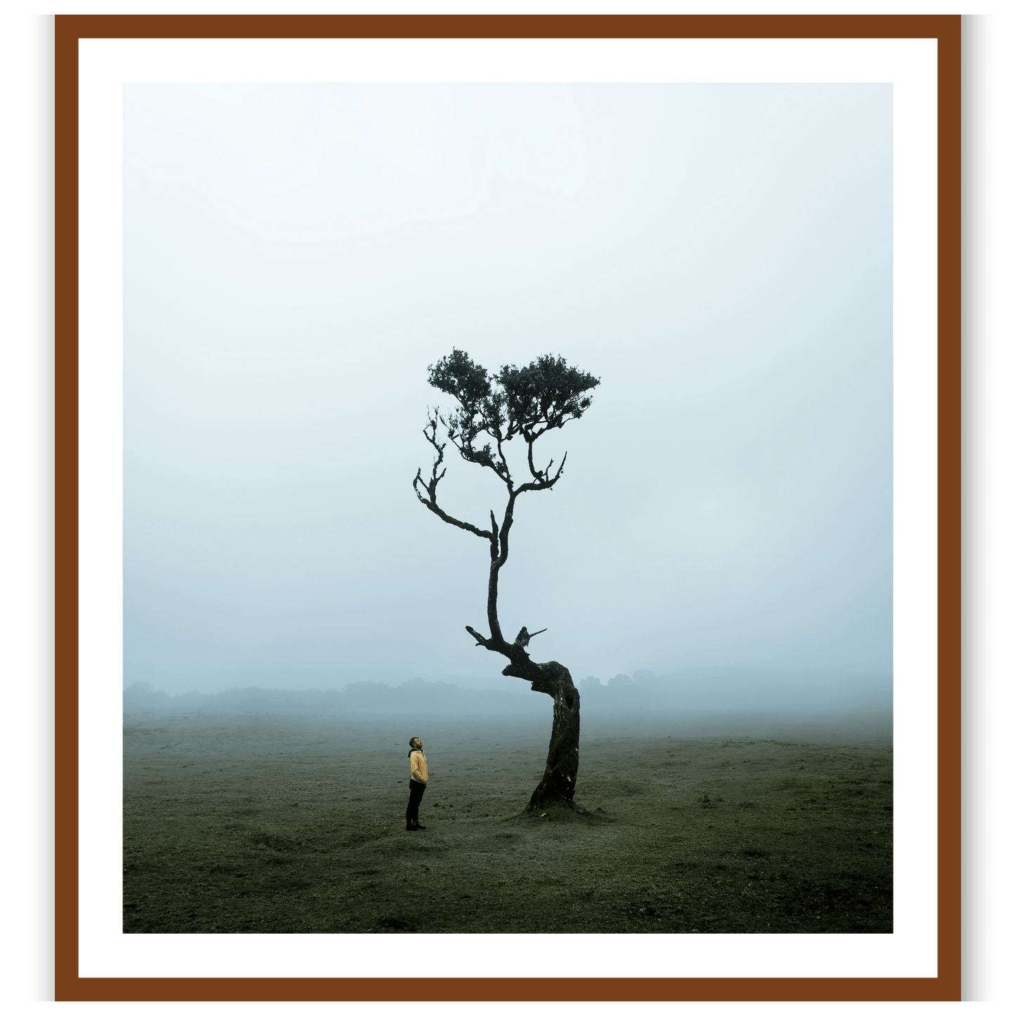 The Lonely Tree