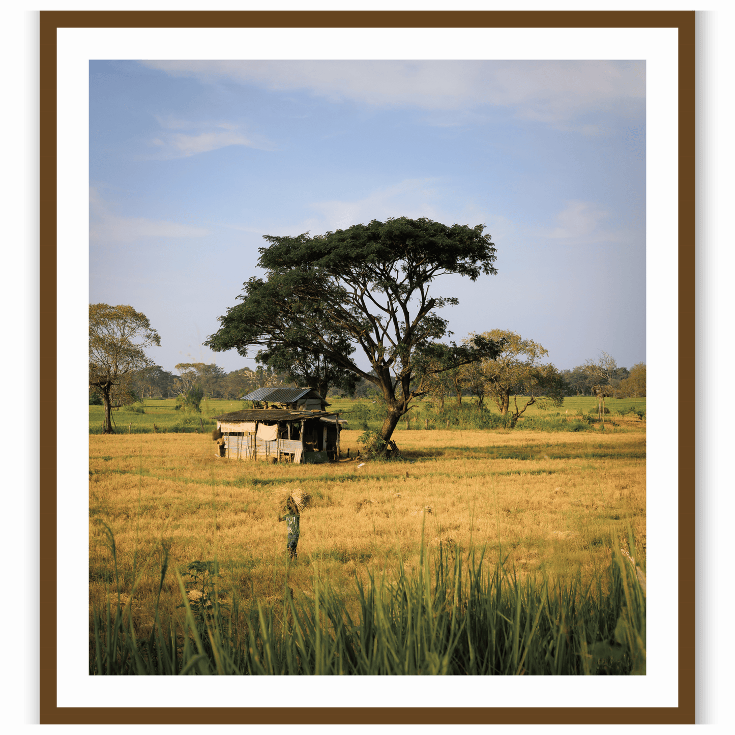African Tapestry