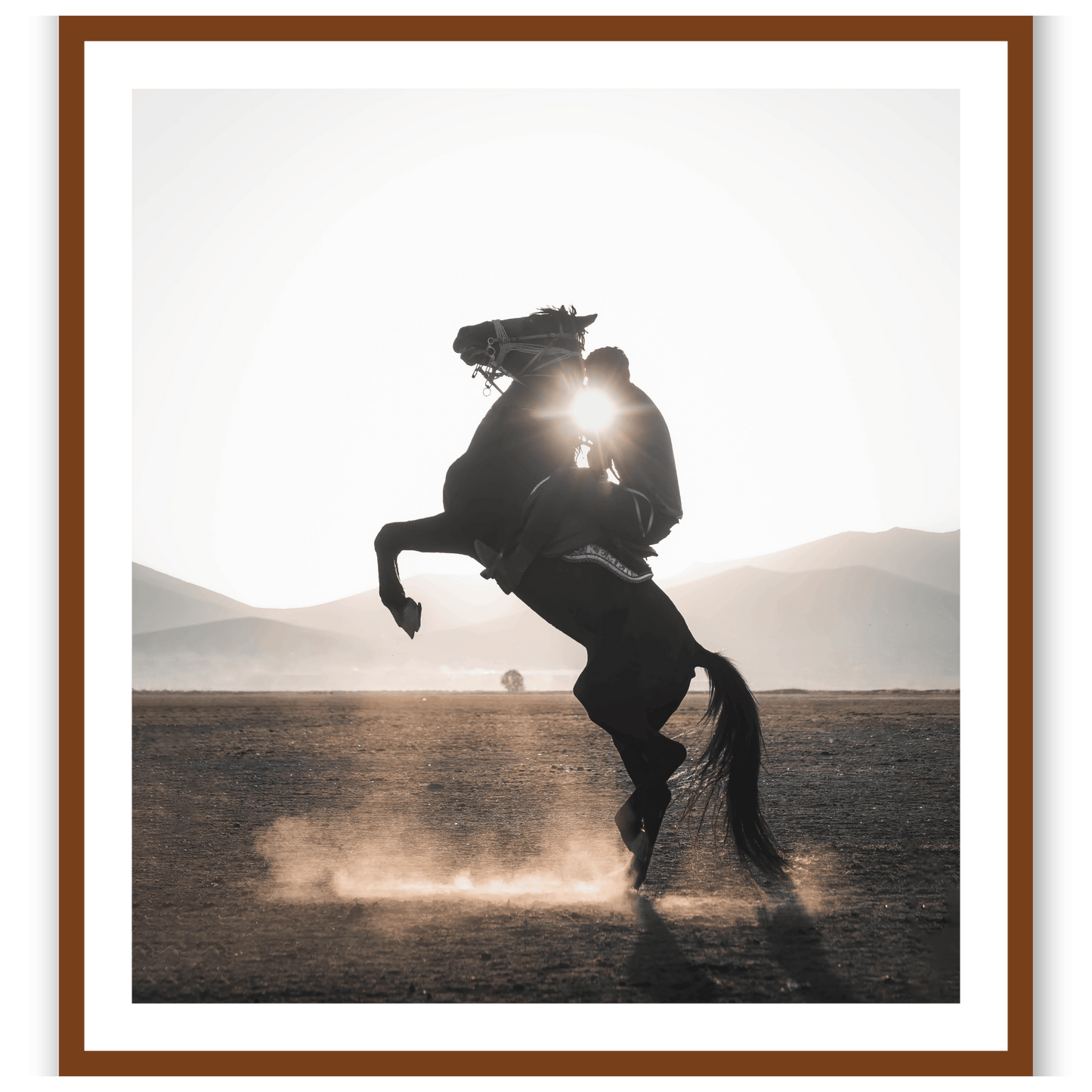 Wild Horses of Yilki