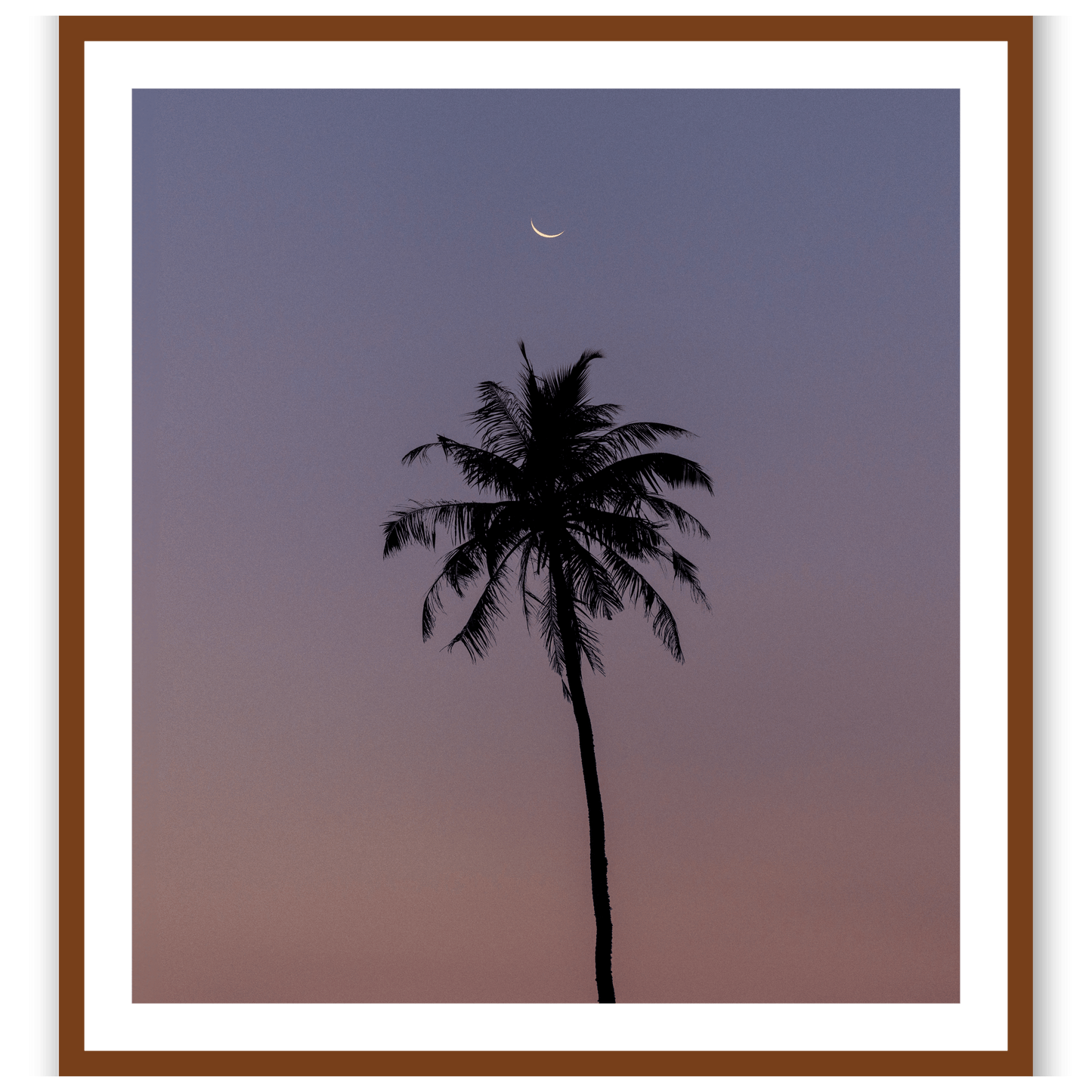 Under a watchful moon