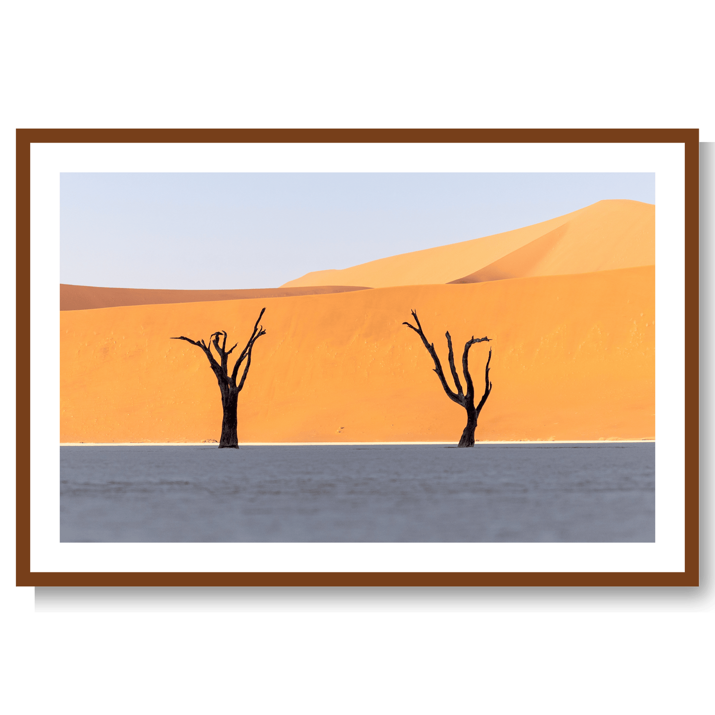 Sossusvlei Forest