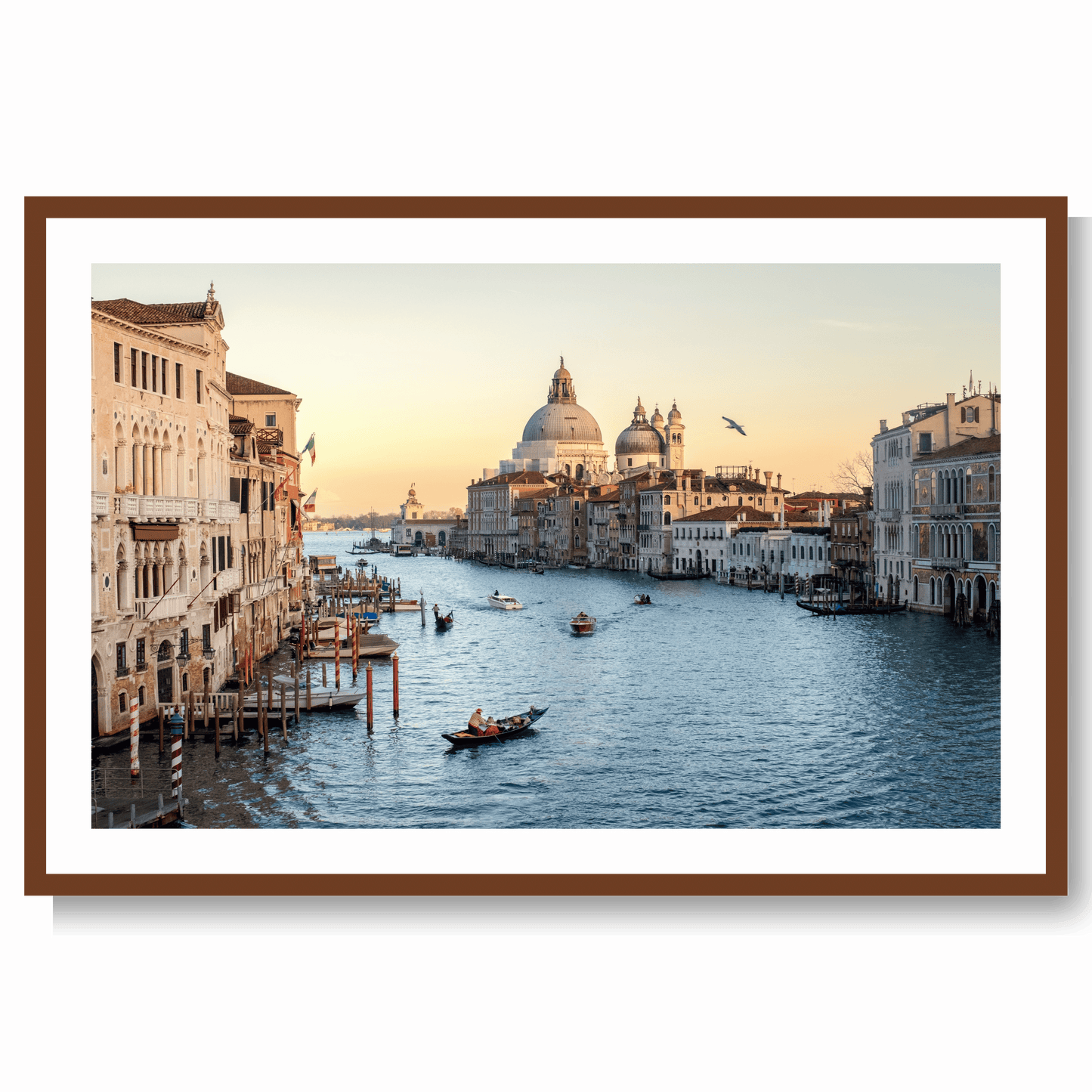 Venice Dreams