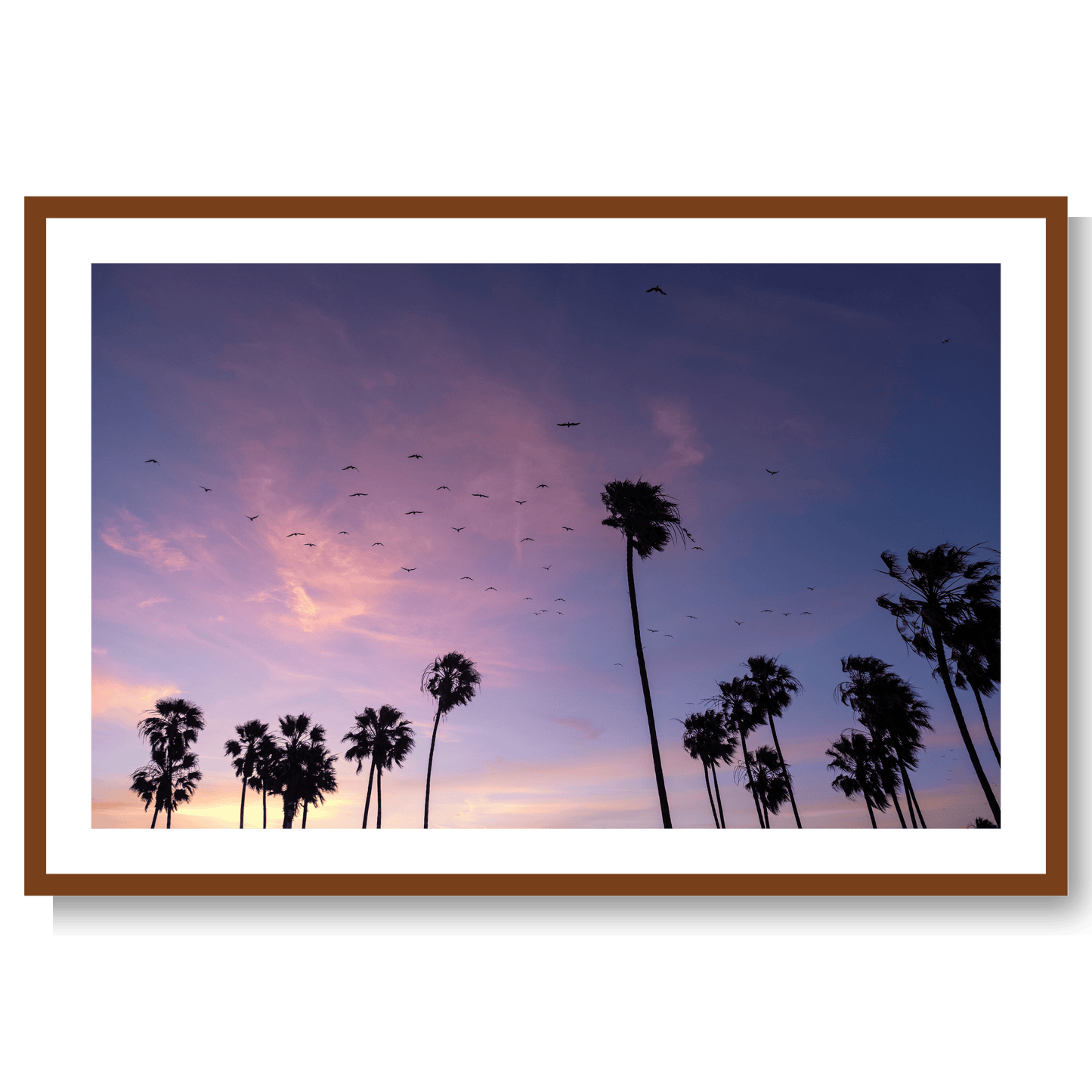 California dreamin’