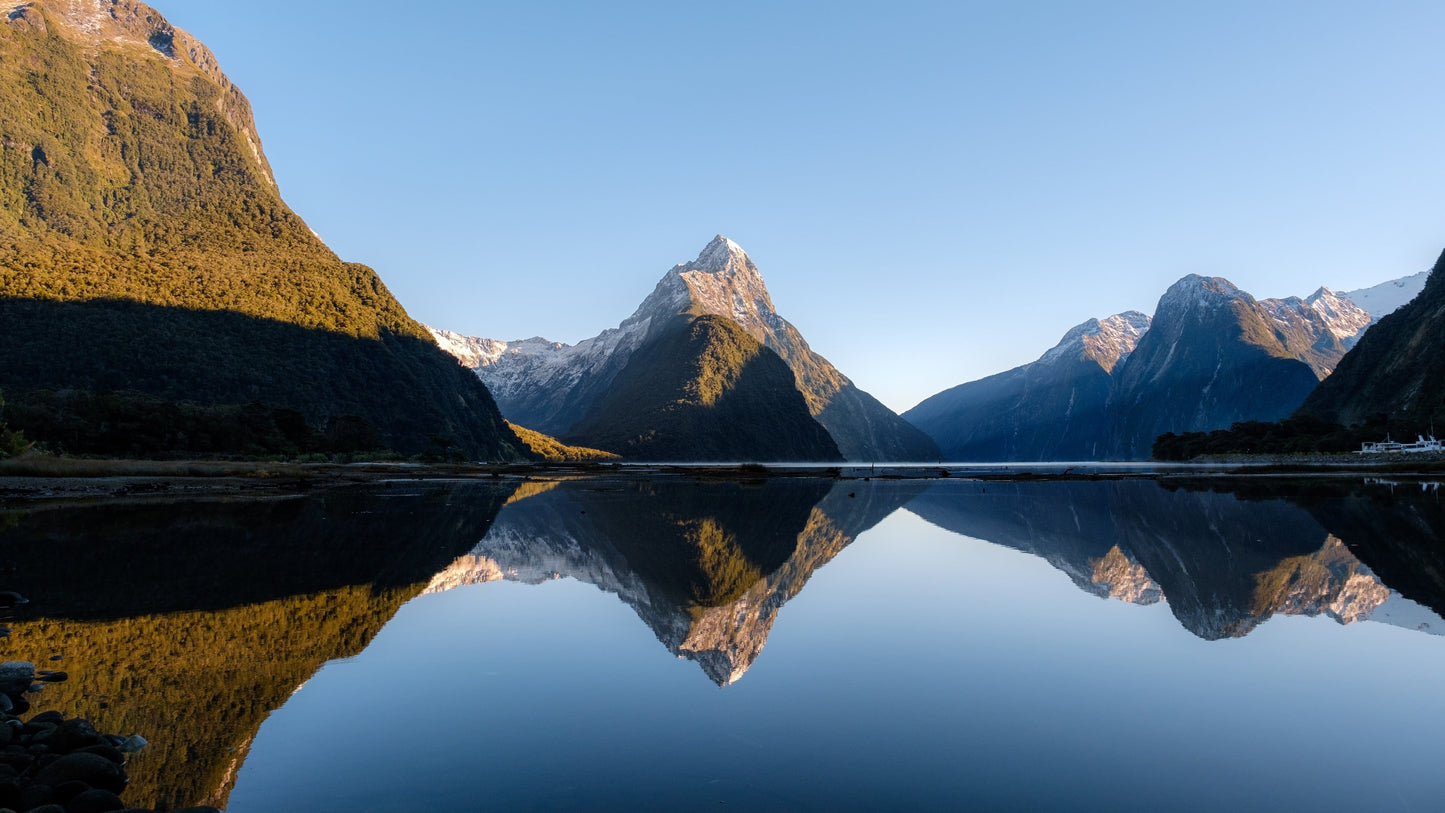 Piopiotahi mirror