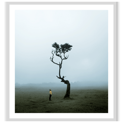 The Lonely Tree