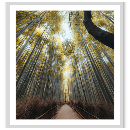 Kyoto whispers