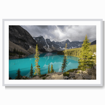 Canada blues LS