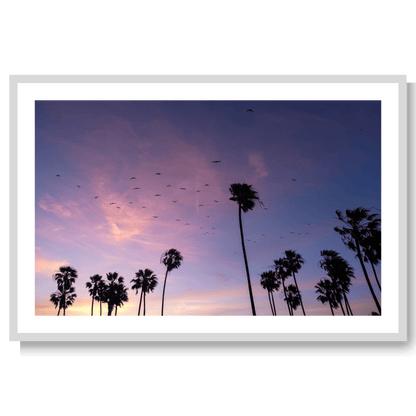 California dreamin’